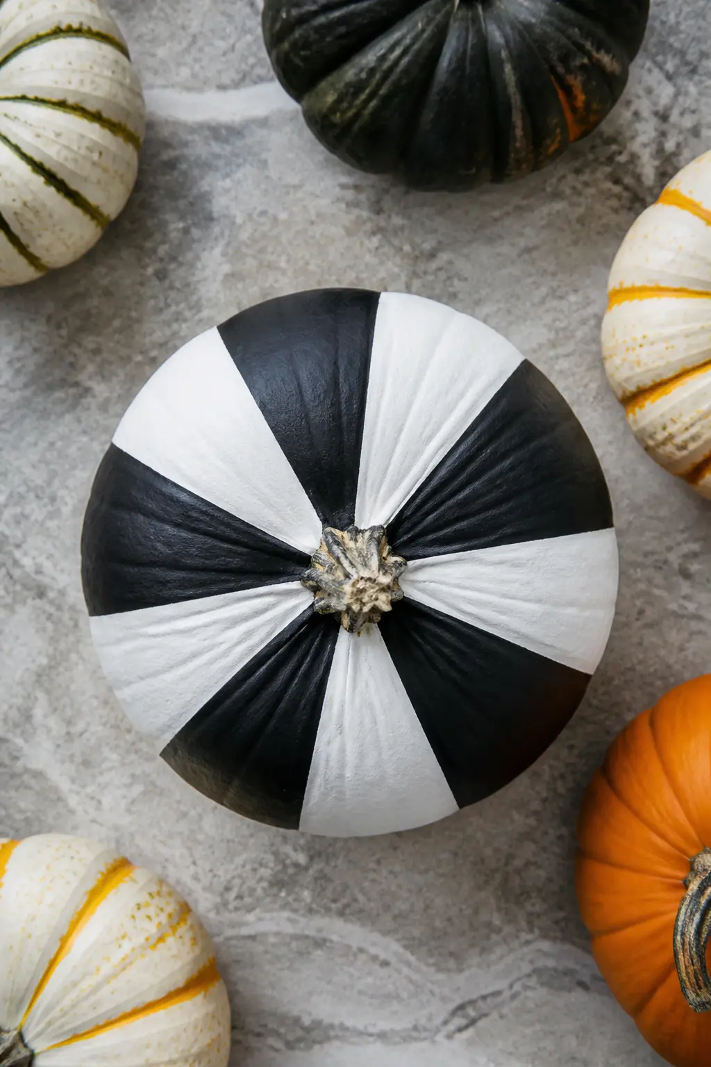 Triangles Fanning from the Stem — Draw light pencil lines radiating from the stem downward at equal intervals, dividing the pumpkin into wedge-shaped sections.