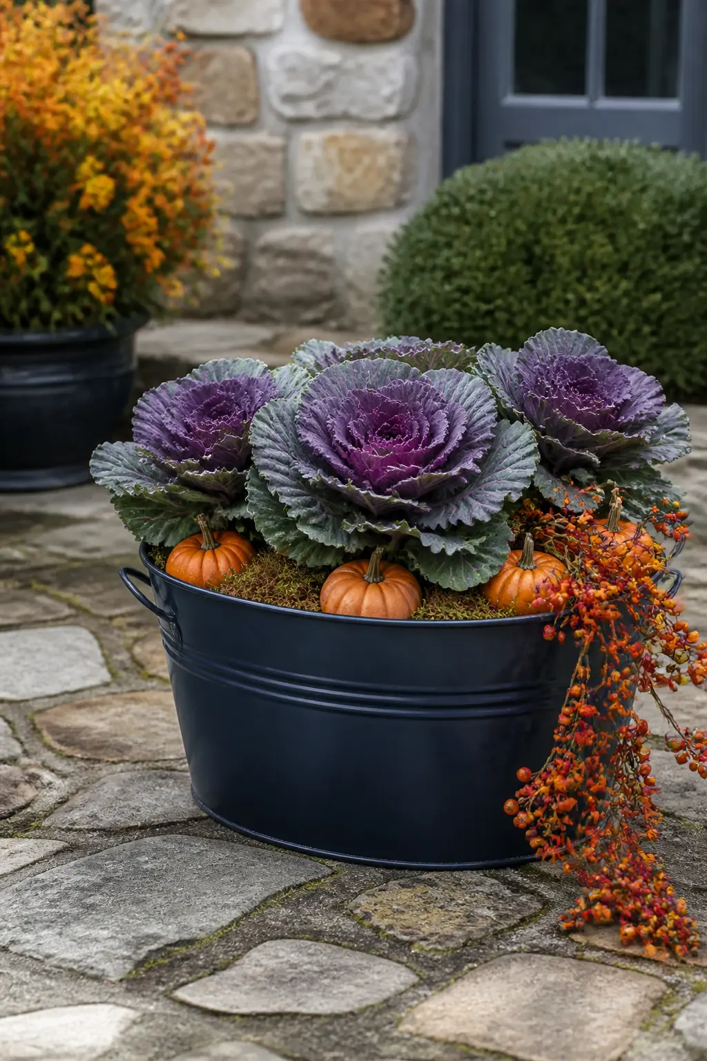 Navy Galvanised Metal Tub Planted with Ornamental Cabbage — Ornamental cabbage and kale come in blue-green, purple and near-indigo tones, and they thrive in