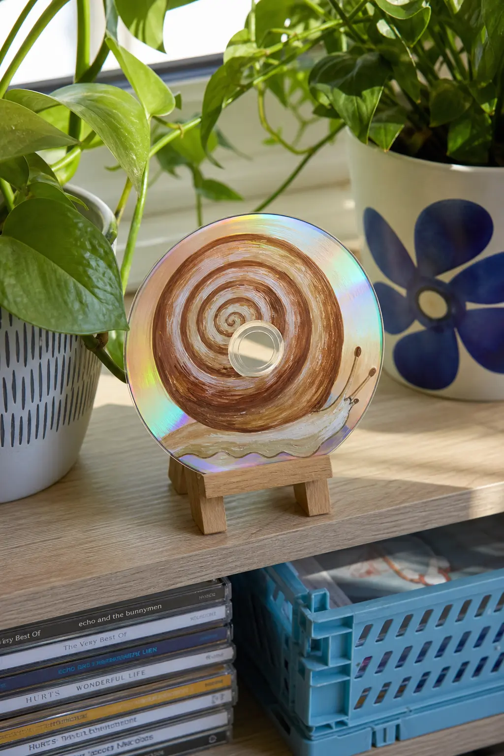 Snail Trail Spiral — A caramel brown spiral shell with a cream trail curling off toward the edge turns the disc's own circular shape into the punchline of the