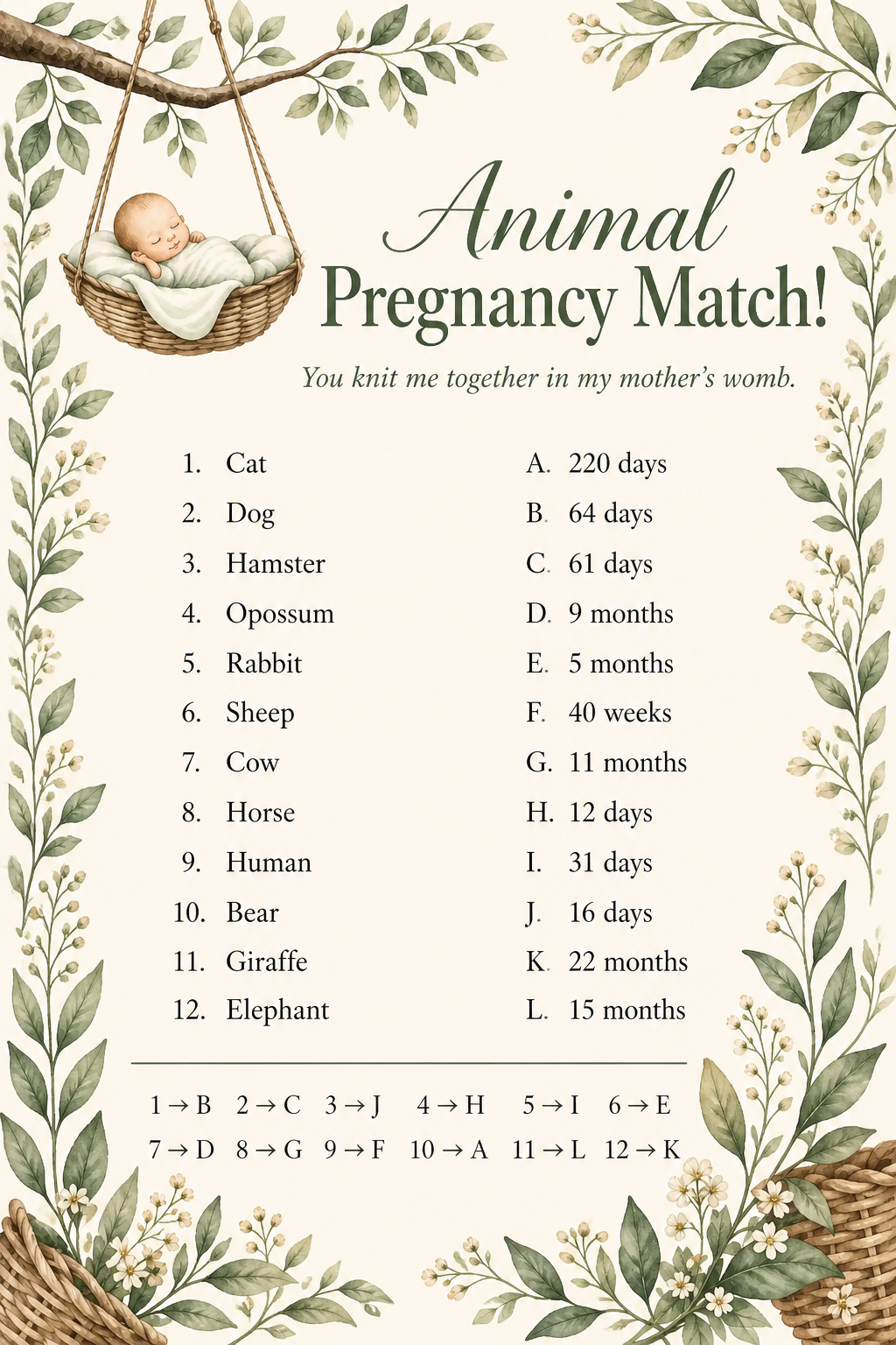 Animal Pregnancy Match printable