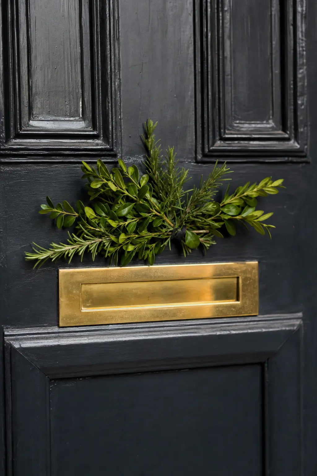 Greenery Over the Letterbox