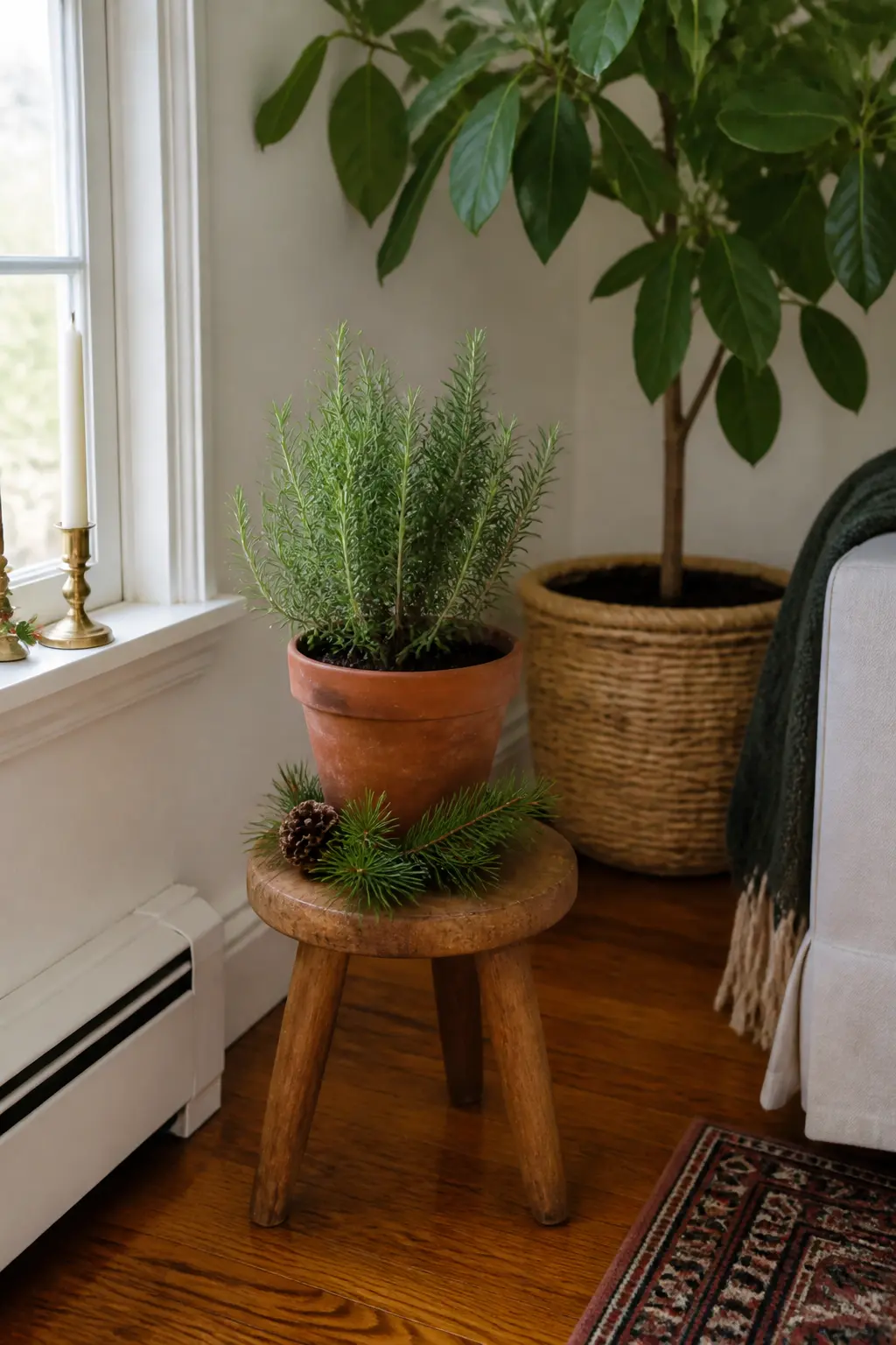 A Wooden Stool Used as a Plant Stand