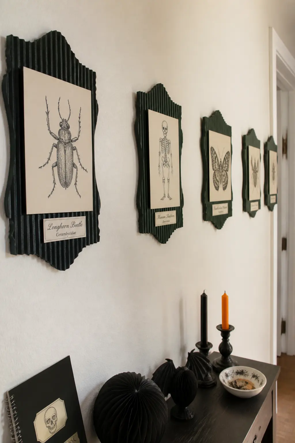 Vintage Specimen Plaques — Cut shield-shaped backing pieces from corrugated board and paint them in dark forest green or burgundy. DIY cardboard Halloween
