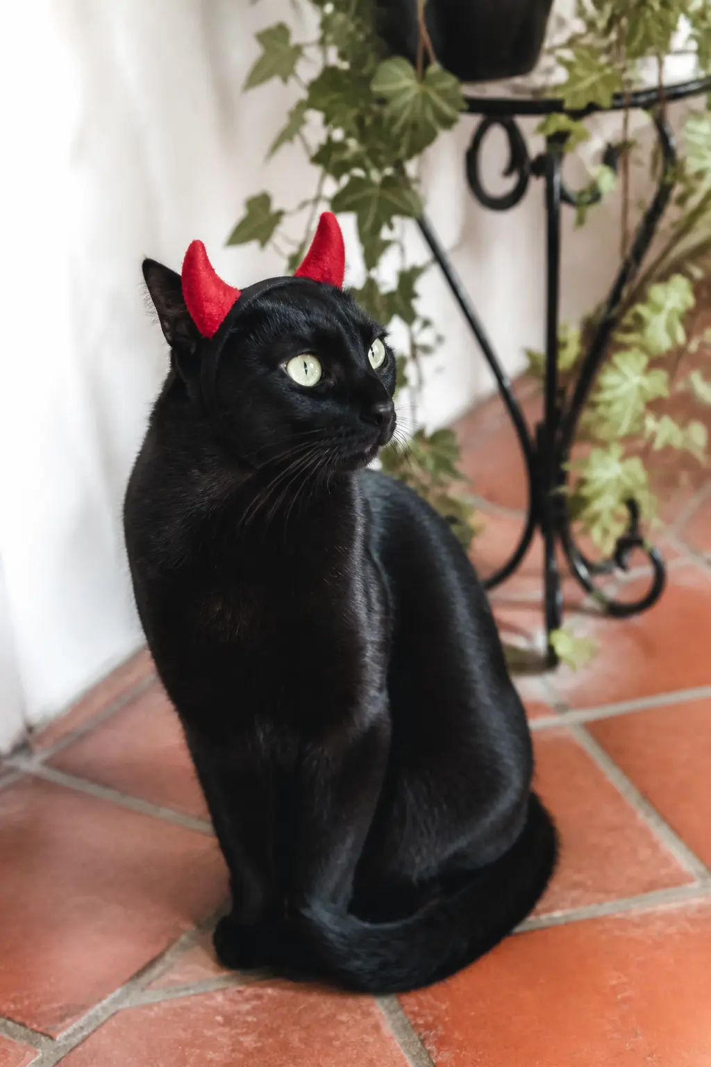 The Devil Horns Headband — Two small red felt cones stuffed with a tiny amount of polyfill, attached to a narrow elastic headband, give a cat devil horns that