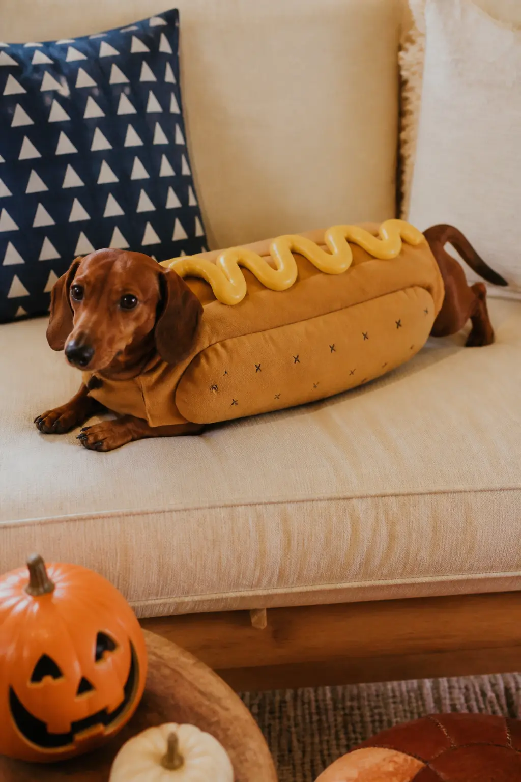 Hot Dog in a Bun — Sew or hot-glue two long tan felt panels together along the bottom edge, leaving the top open: that is the bun. Diy dog halloween costumes
