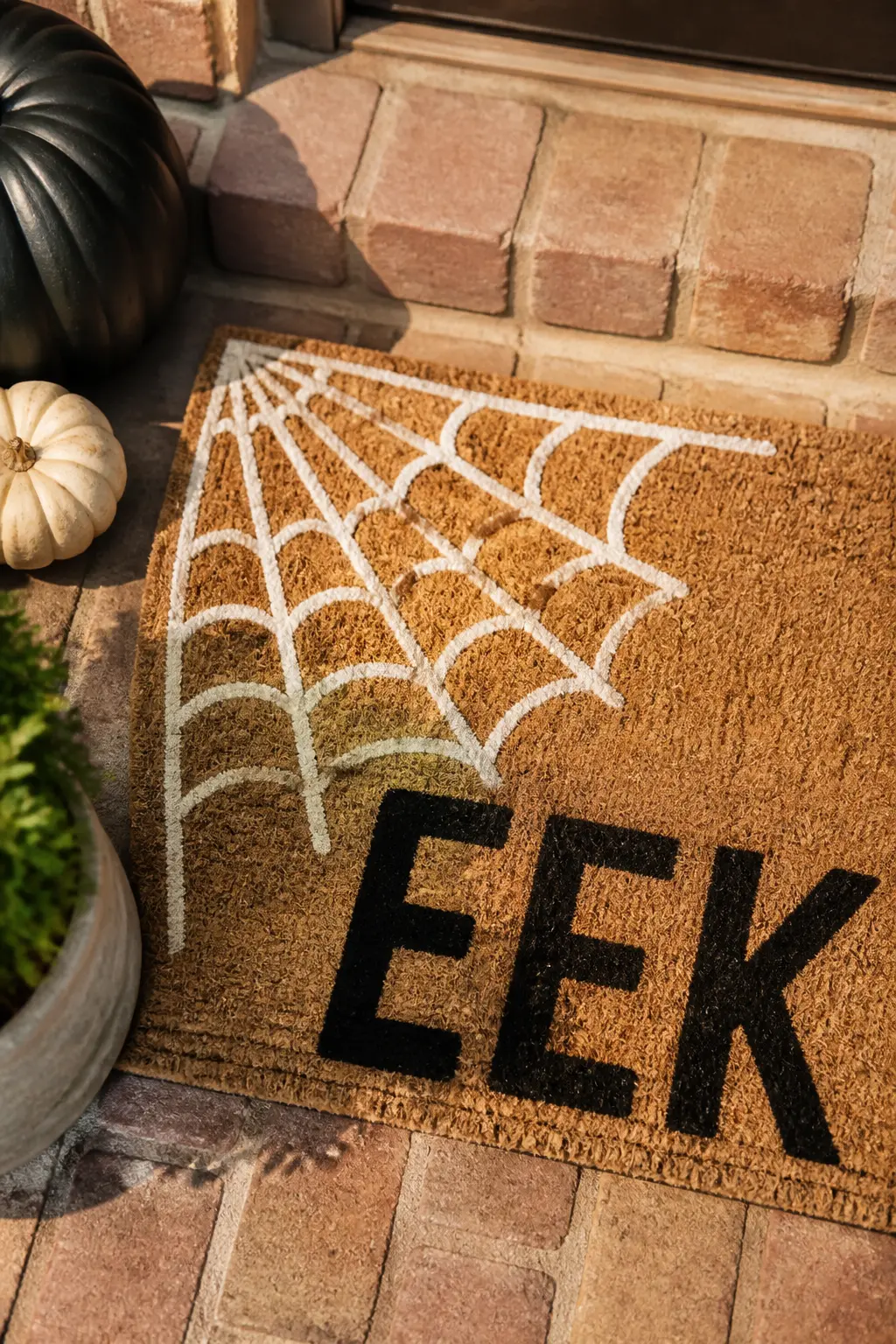 Spider Web Corner with Block "EEK" — A quarter-circle web painted in white in the upper left corner, lines radiating from the corner point with connecting arcs