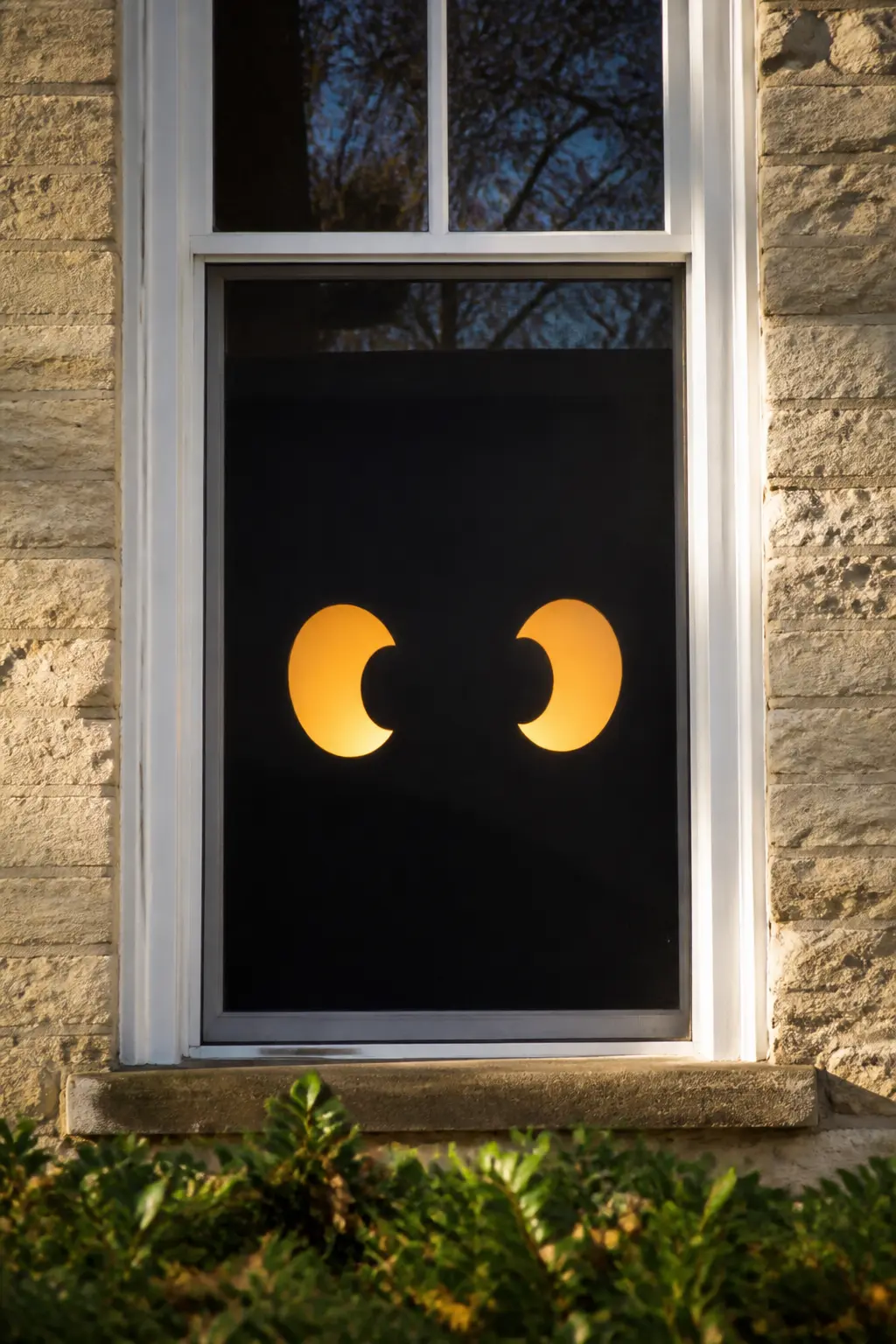 Monster Eyes Only — Cut two large oval or slit-pupil eyes from black card, leaving the irises open so light shows through. Diy halloween window silhouettes