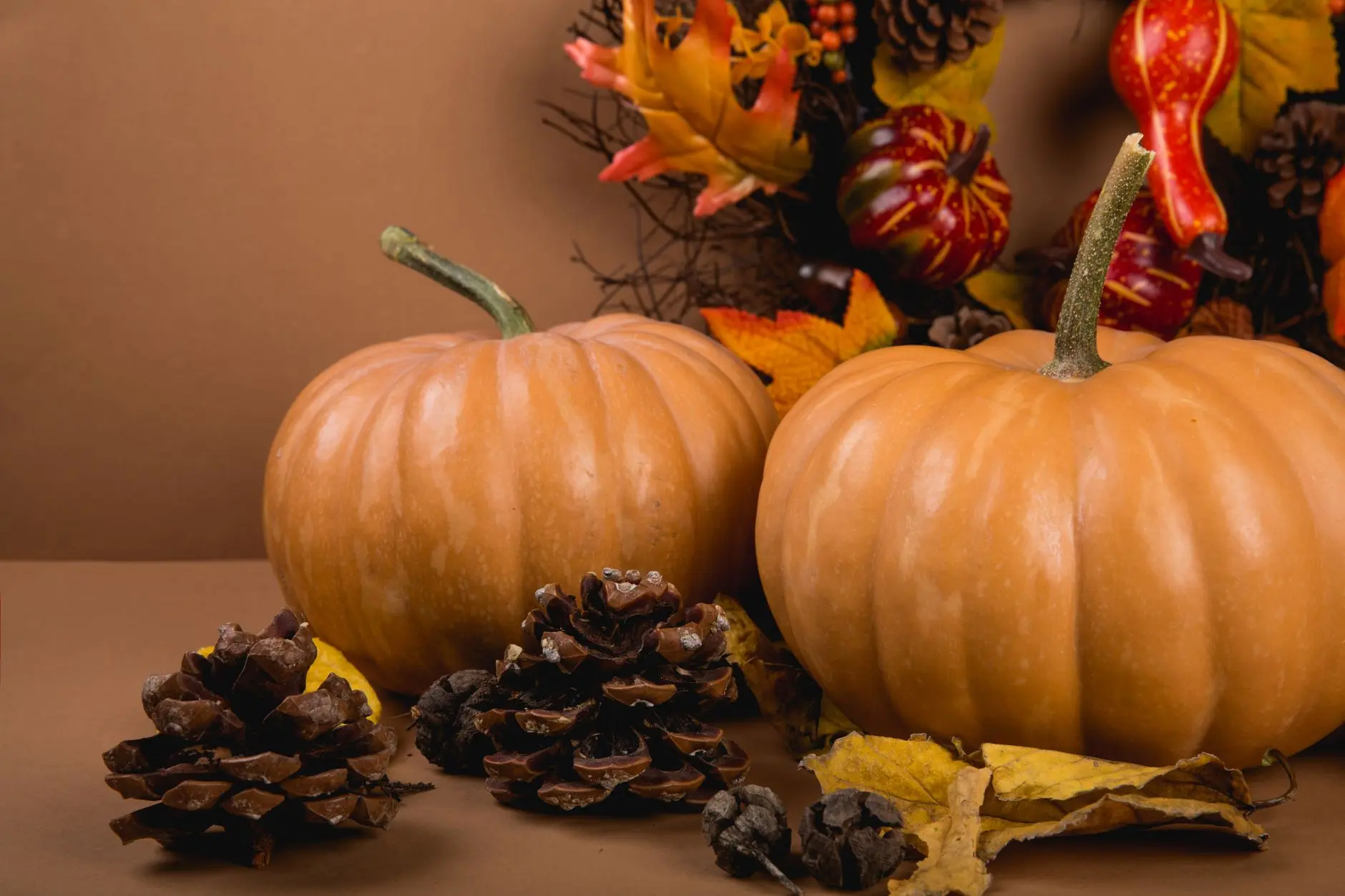 23 DIY Thanksgiving Decorations You Can Make From Foraged Bits
