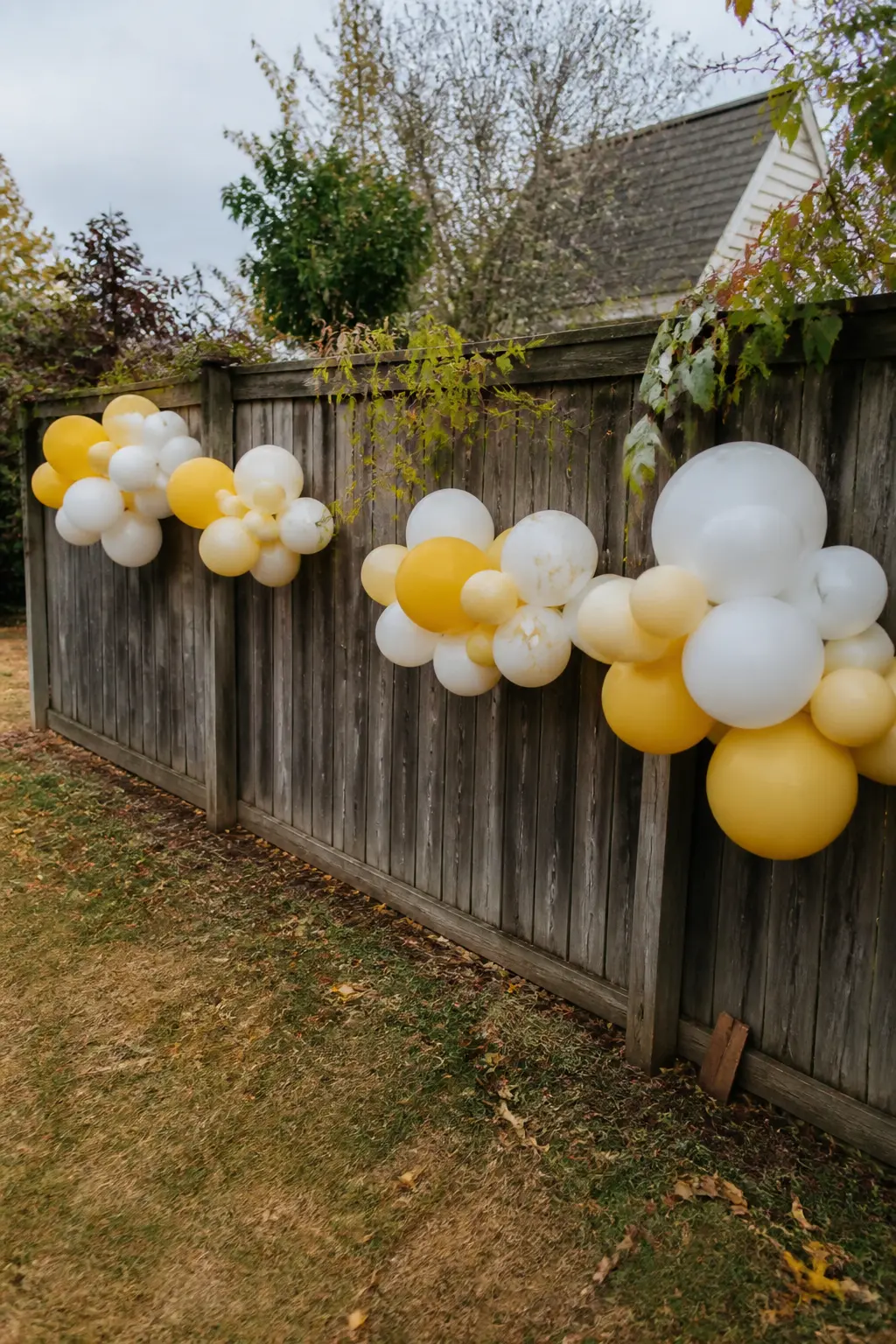 Mustard and White Garland Along a Garden Fence for a Harvest Party — Run a mustard and white balloon garland along a wooden picket or board fence at garden