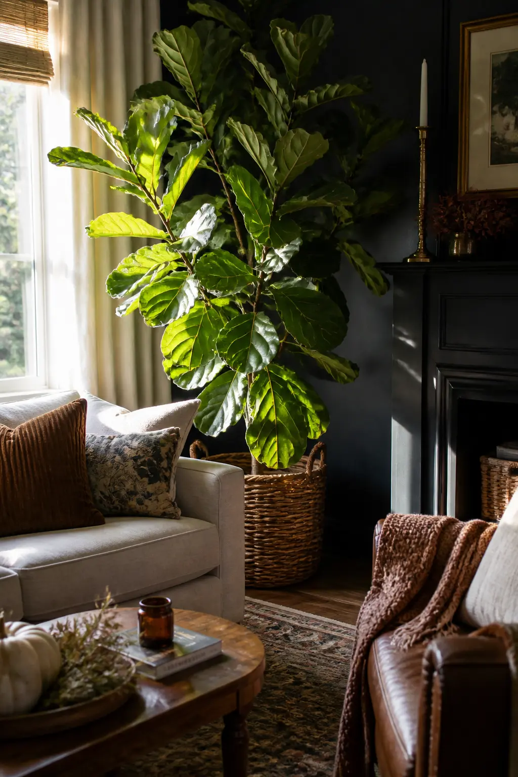 Move the Largest Plant to Catch the Lower Light