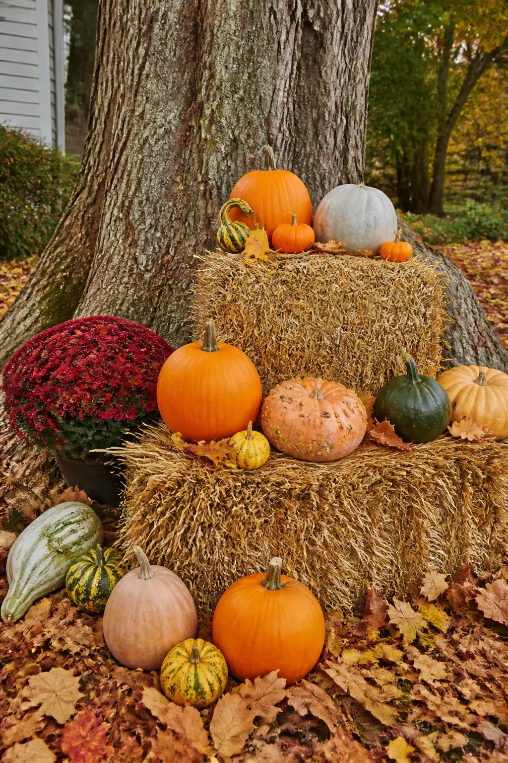 Hay Bale Grouping at the Base of a Tree