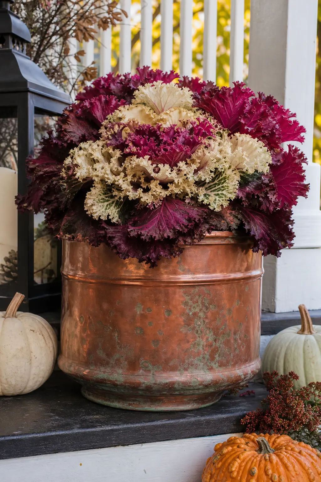 Copper Pot Planted with Ornamental Kale