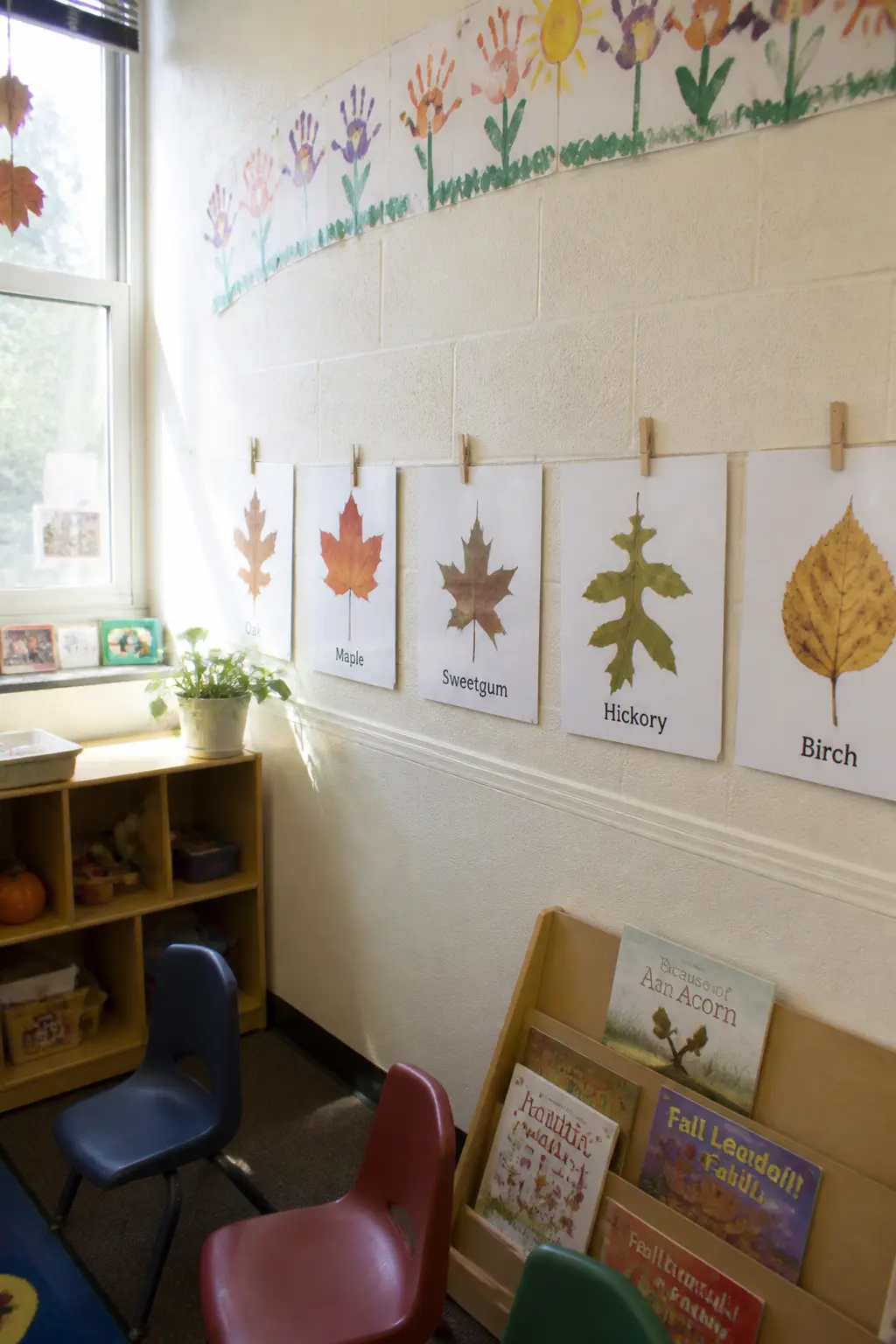 Leaf Identification Walk (Indoor Version)