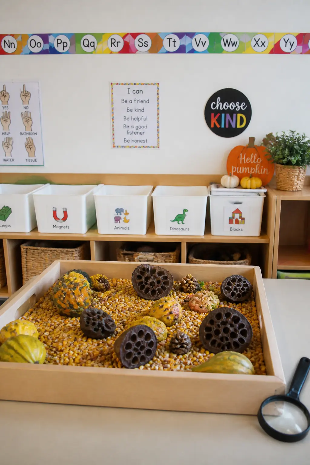 Seed Pod Sensory Tray