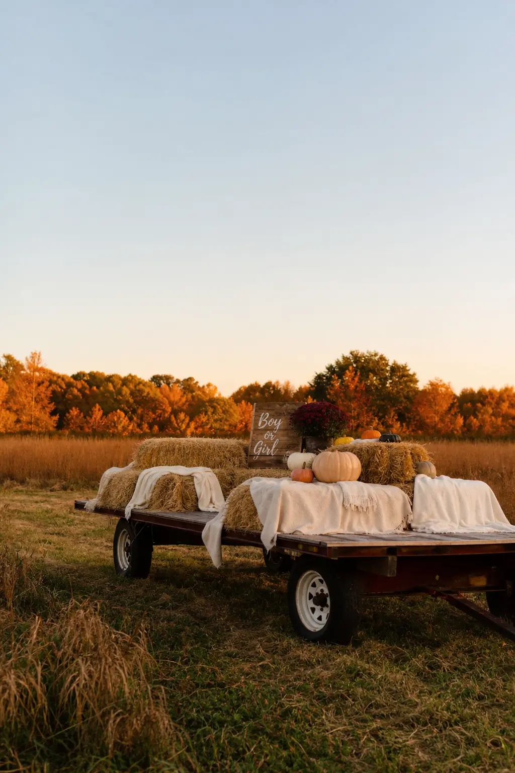 The Hayride Reveal