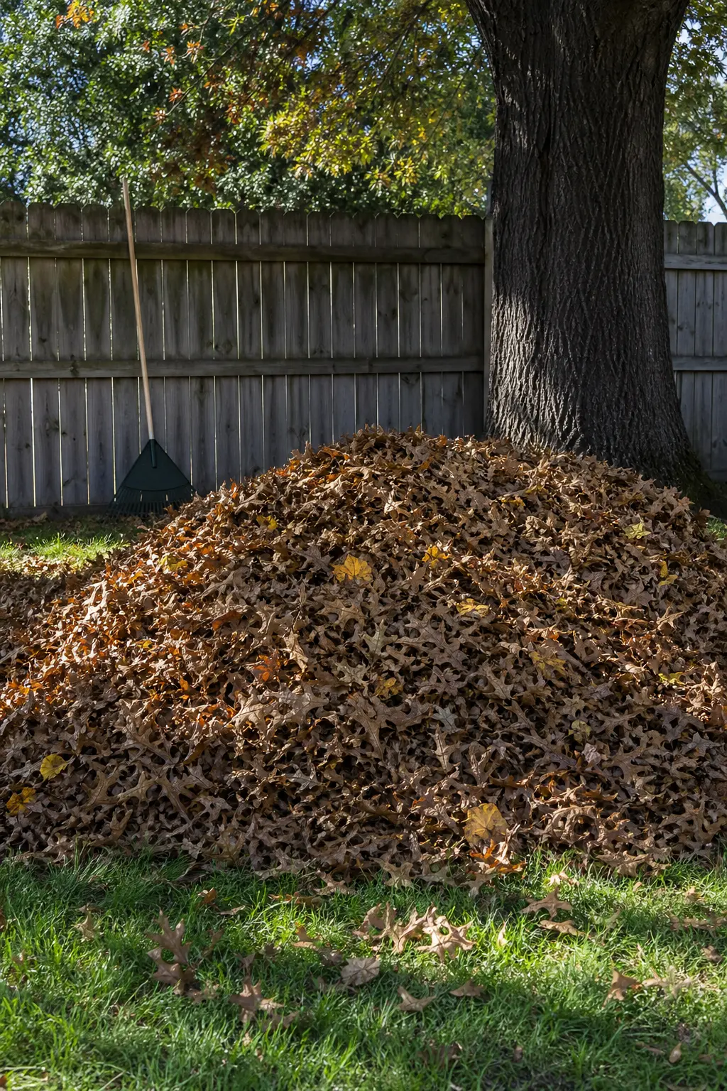 The Leaf Pile Reveal