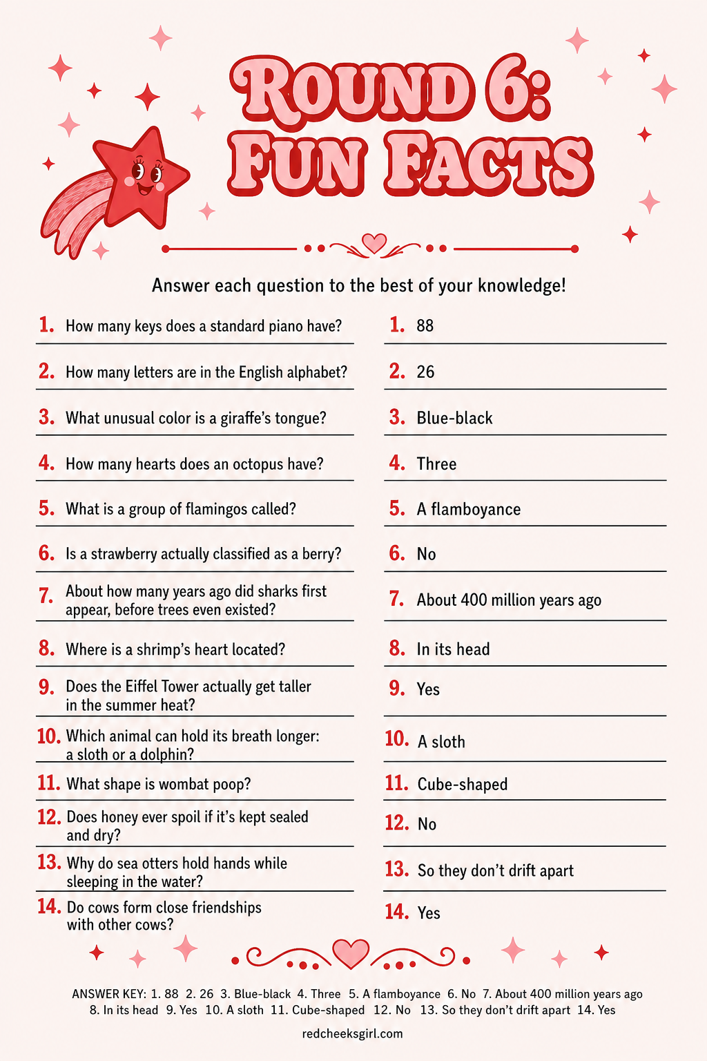 Fun Facts — Questions Sheet printable