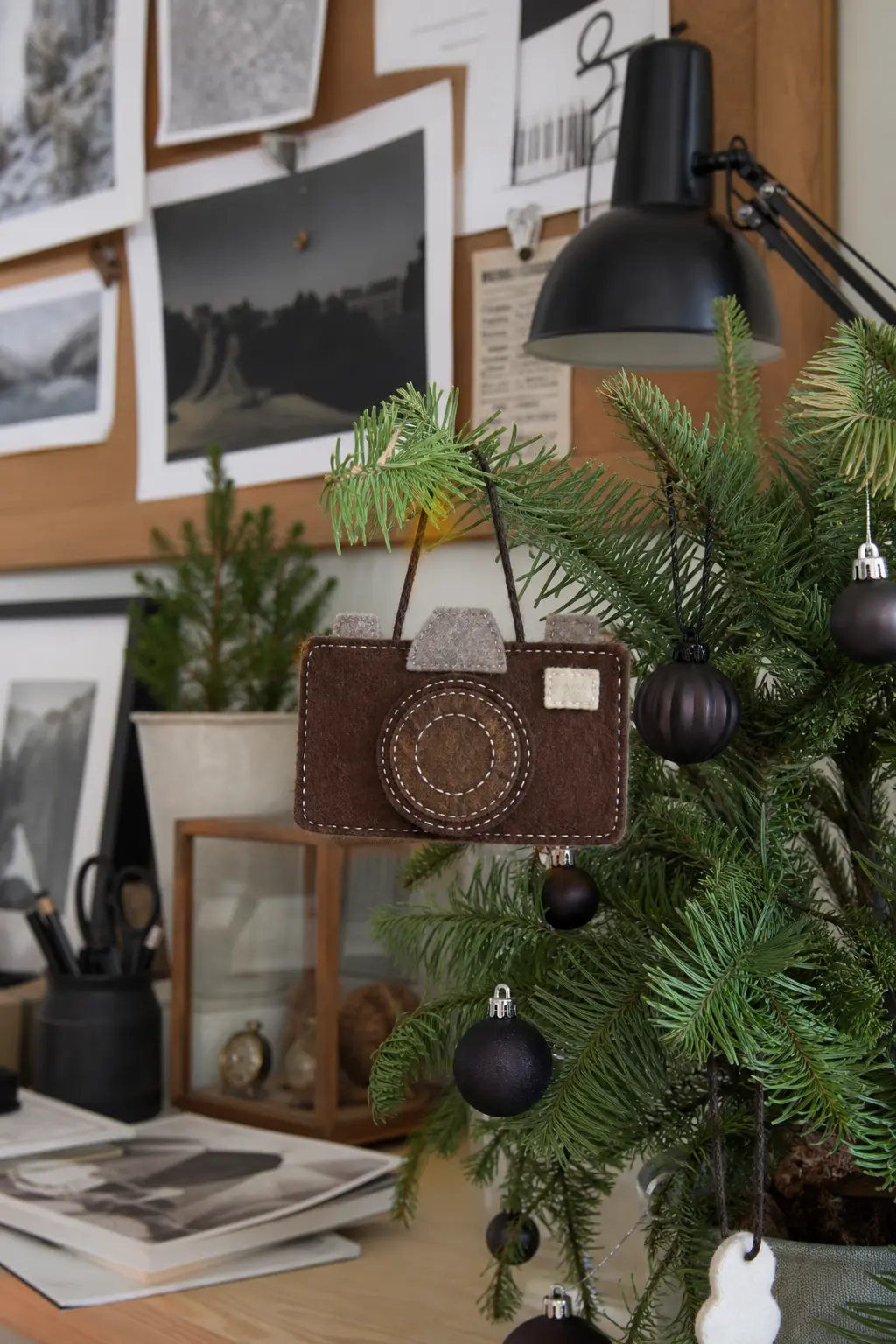 Felt Camera with Stitched Lens
