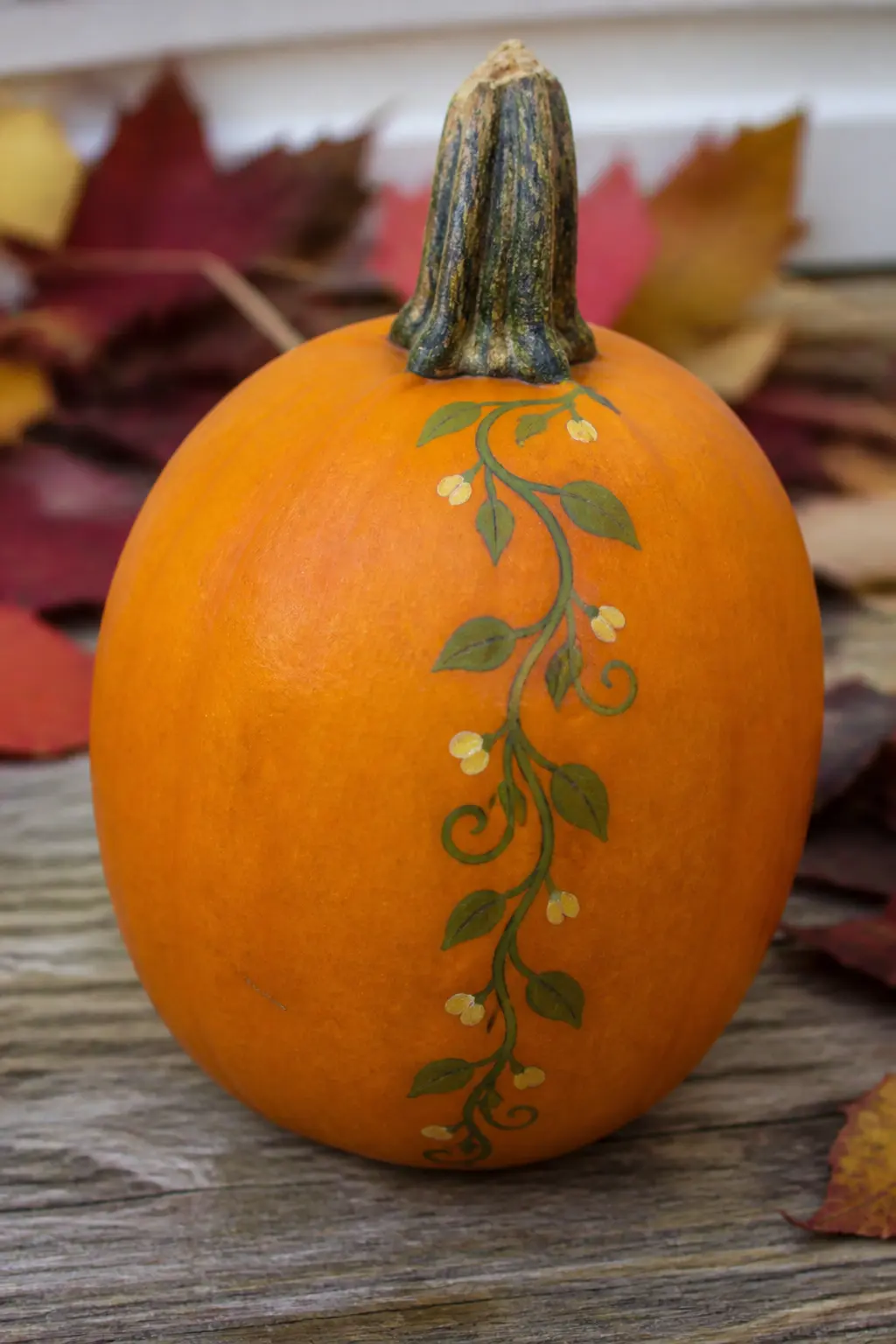 A Single Trailing Vine from the Stem — Start at the top of the pumpkin, right at the base of the stem. Floral painted pumpkin