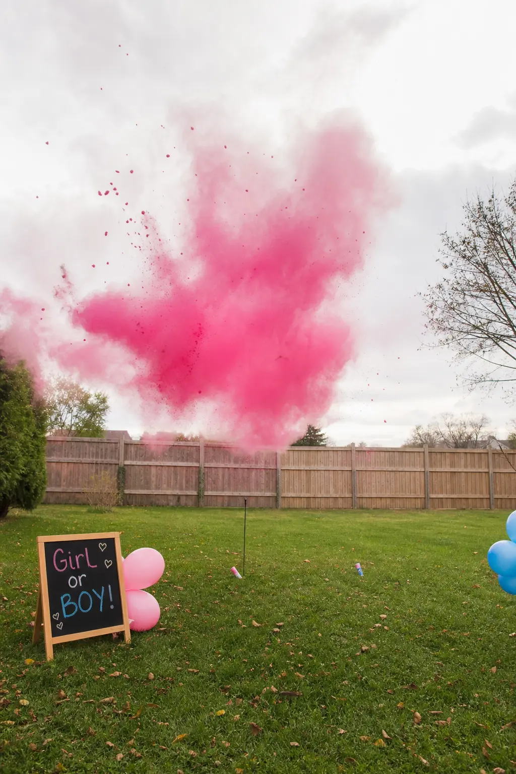 A Colour Powder Toss Done Outdoors
