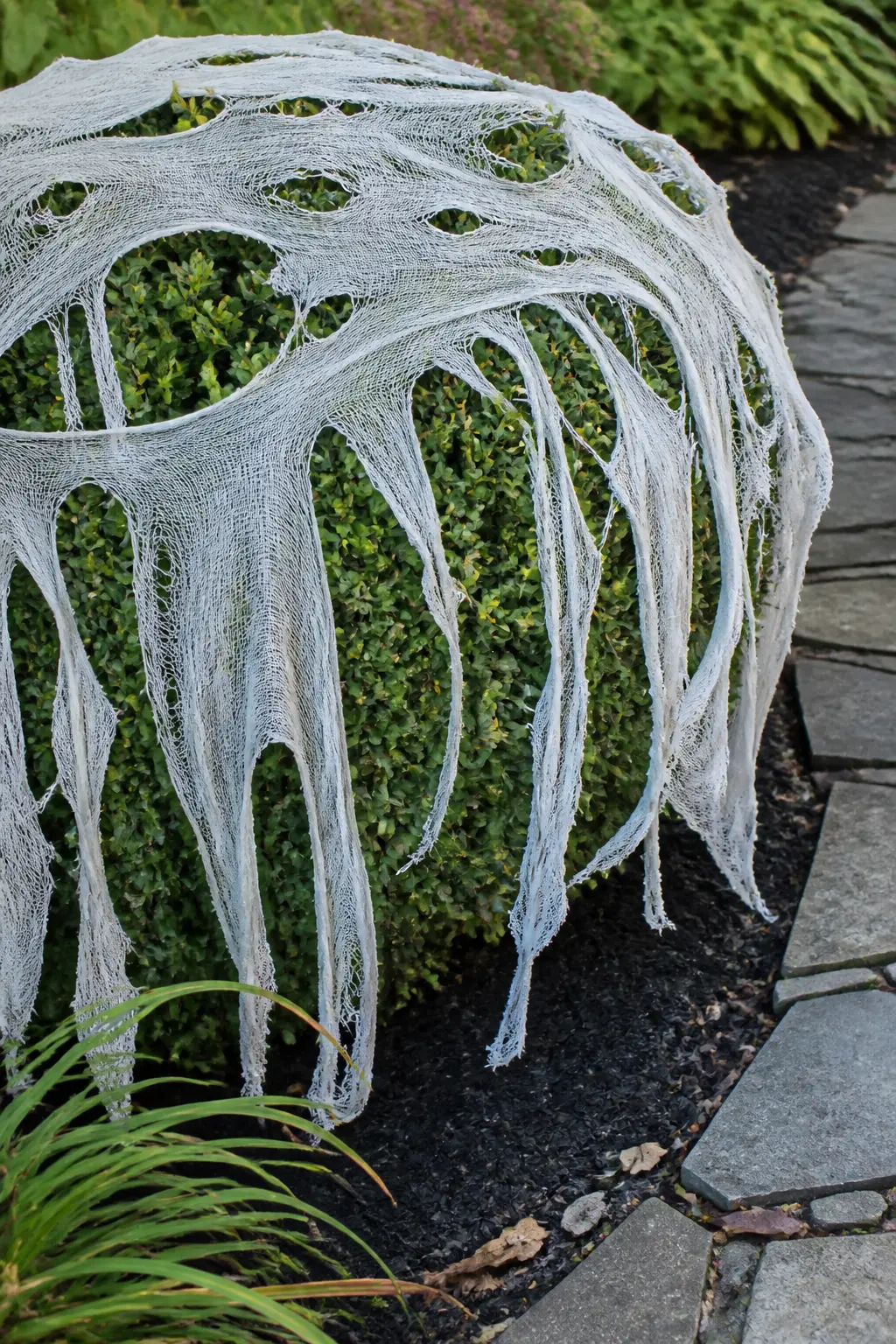 Drape Torn Muslin Over One Shrub