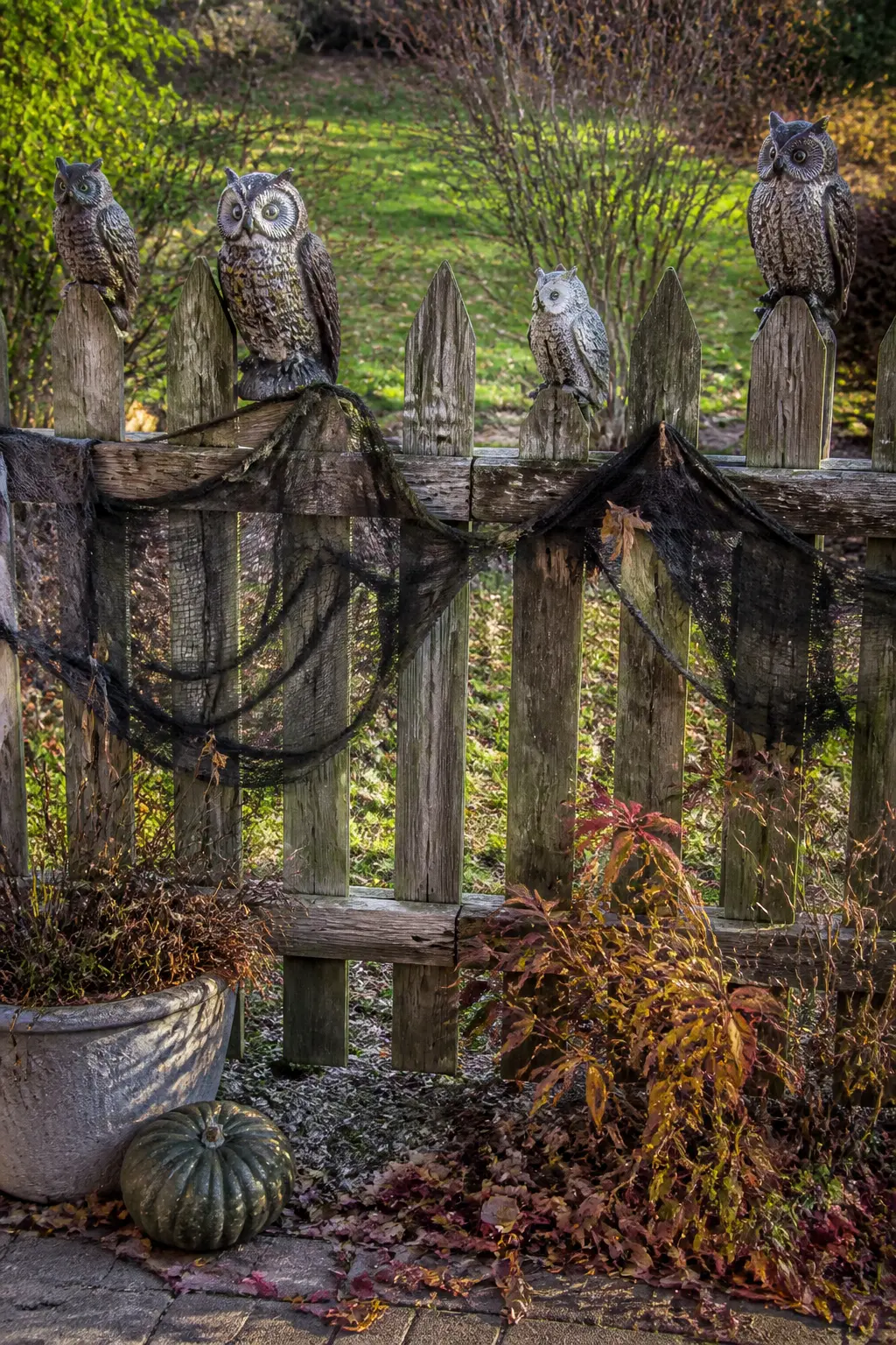Perch Owl Figures Along the Fence