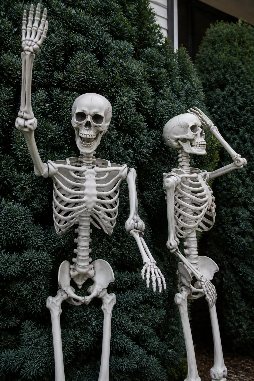 Bone White Figures Against the Darkest Shrubs