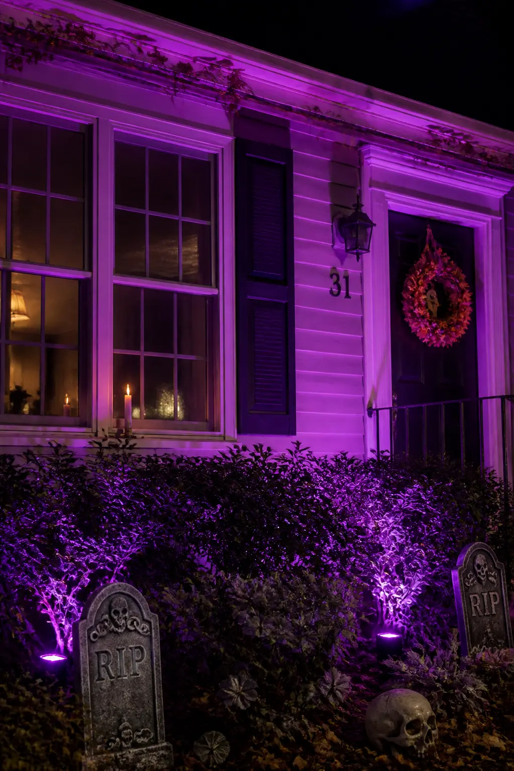 Colored Uplight Tucked Into the Shrubs Aimed at the House