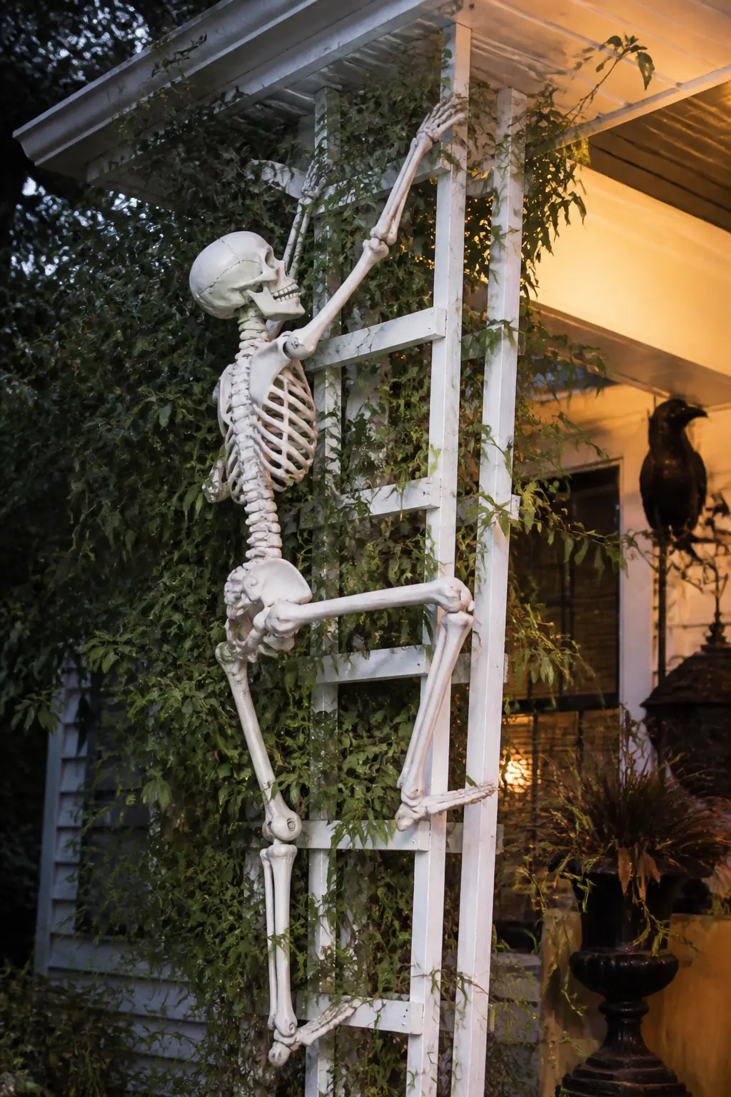 Skeleton Posed Climbing the Porch Trellis