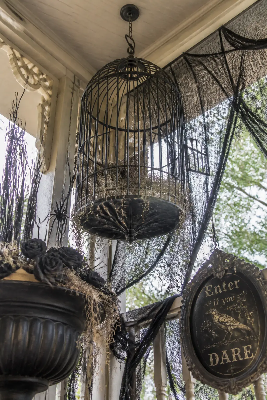 Hanging Planter Swapped for a Hanging Cage
