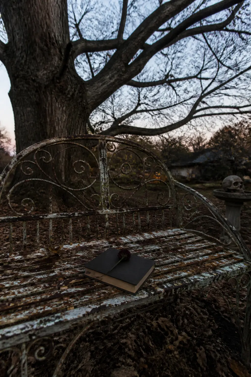 The Abandoned Garden Seat
