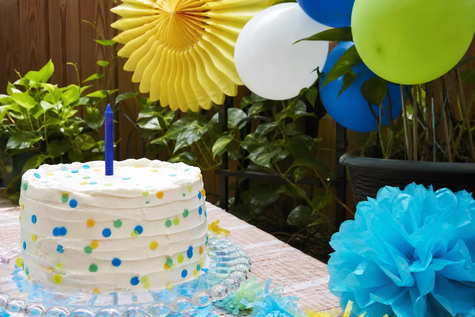 33 One Happy Dude First Birthday Ideas With a Backdrop for Every Budget