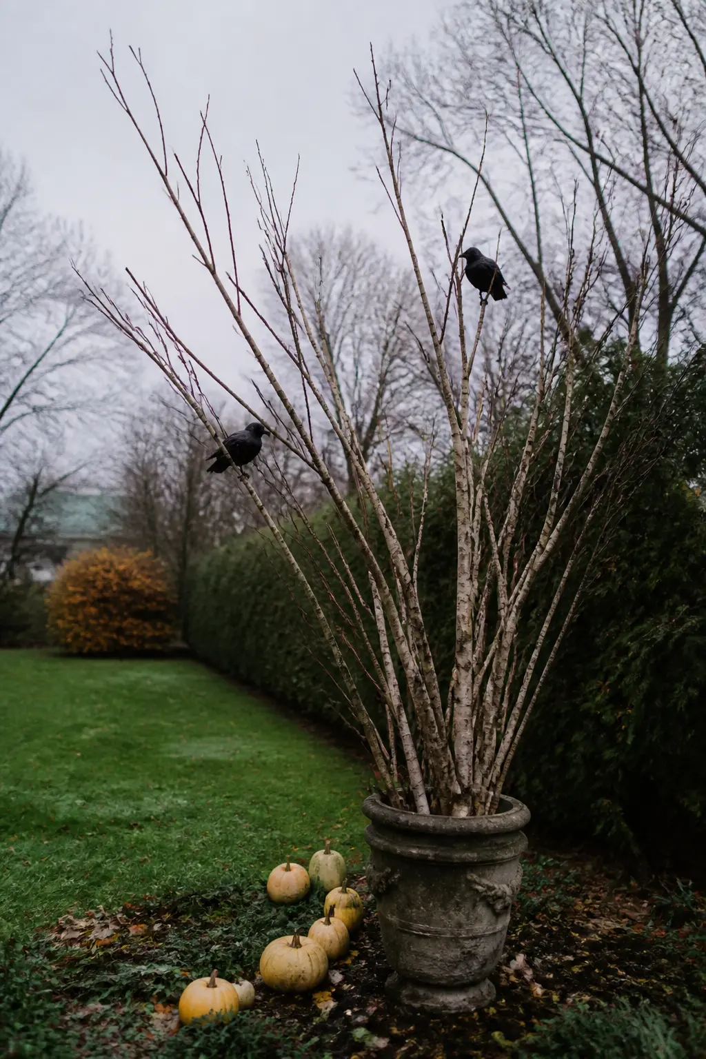 Bare Branch Bundle Staked Into a Planting Bed