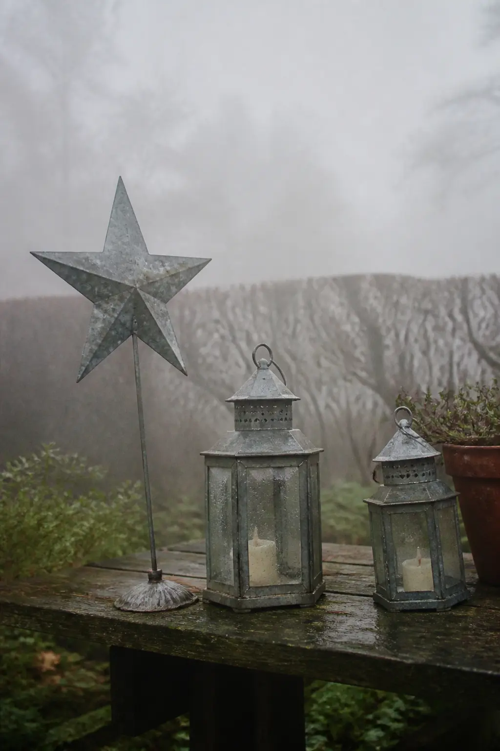 Galvanised Metal in a Misted Garden