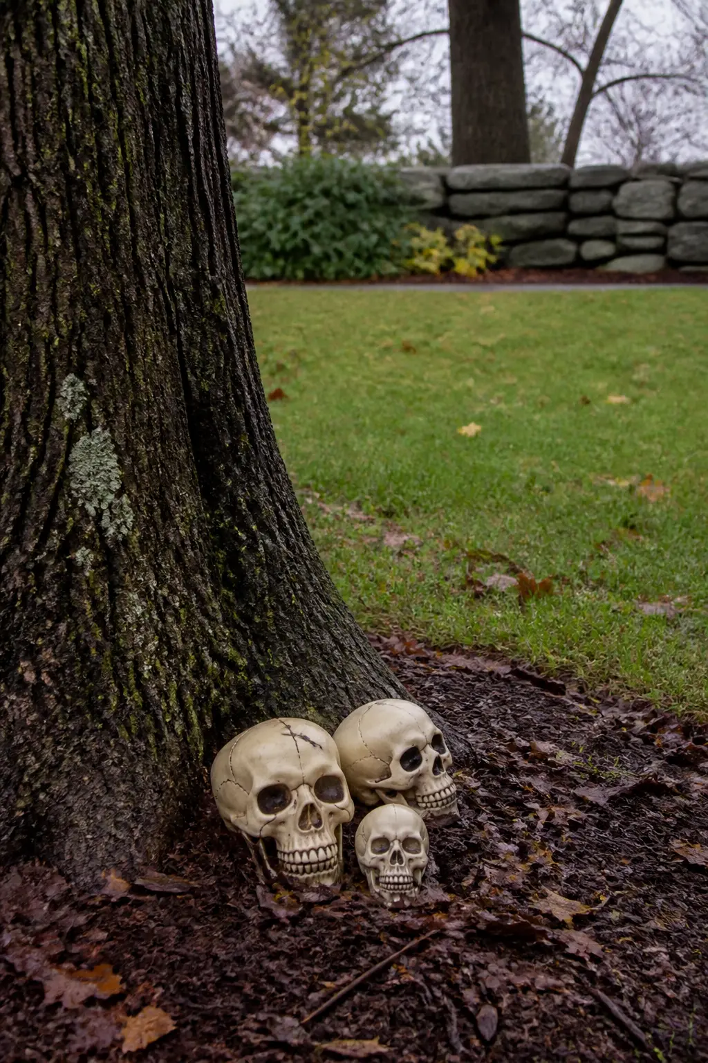 Sealed Resin Skull Cluster at the Base of a Tree