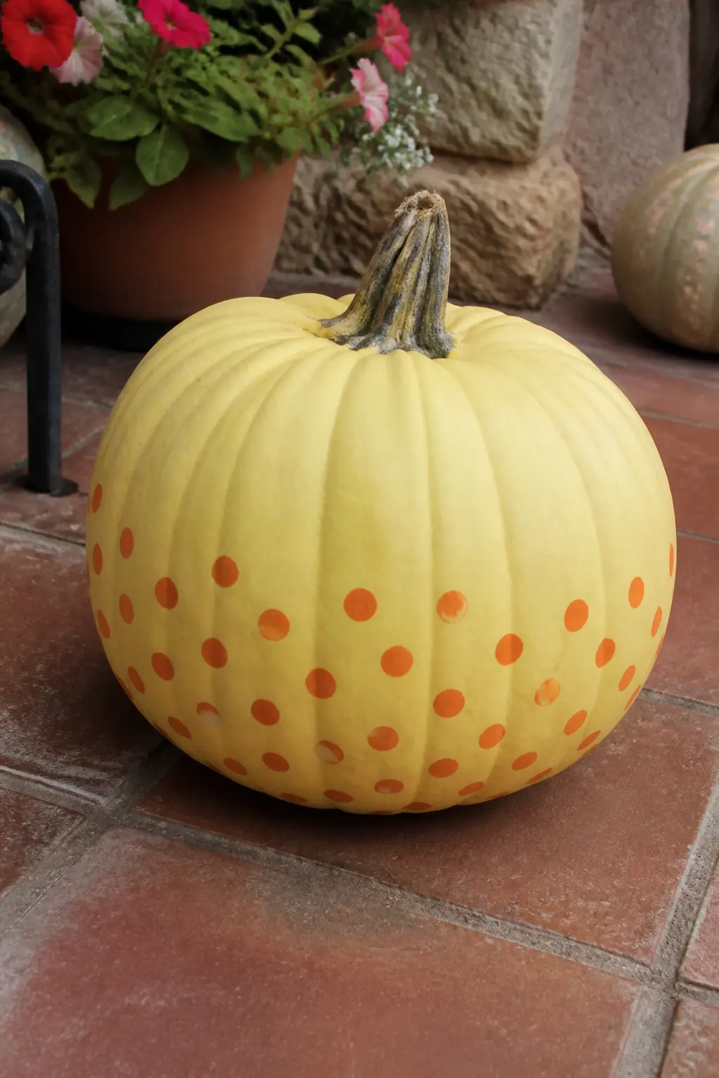 Butter Yellow Pumpkin With Orange Dots — This is the warmest entry in the entire article, and the only one that deliberately echoes the orange of a traditional