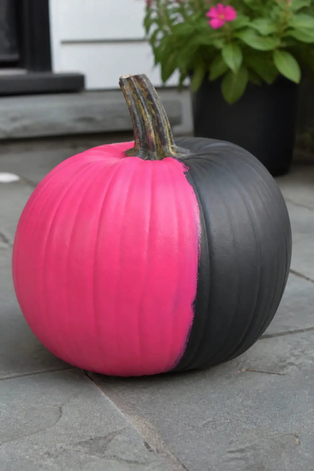 Pink on the Front, Black on the Back — Paint the front half of the pumpkin in hot pink and the back half in matte black, with the colour change happening at a