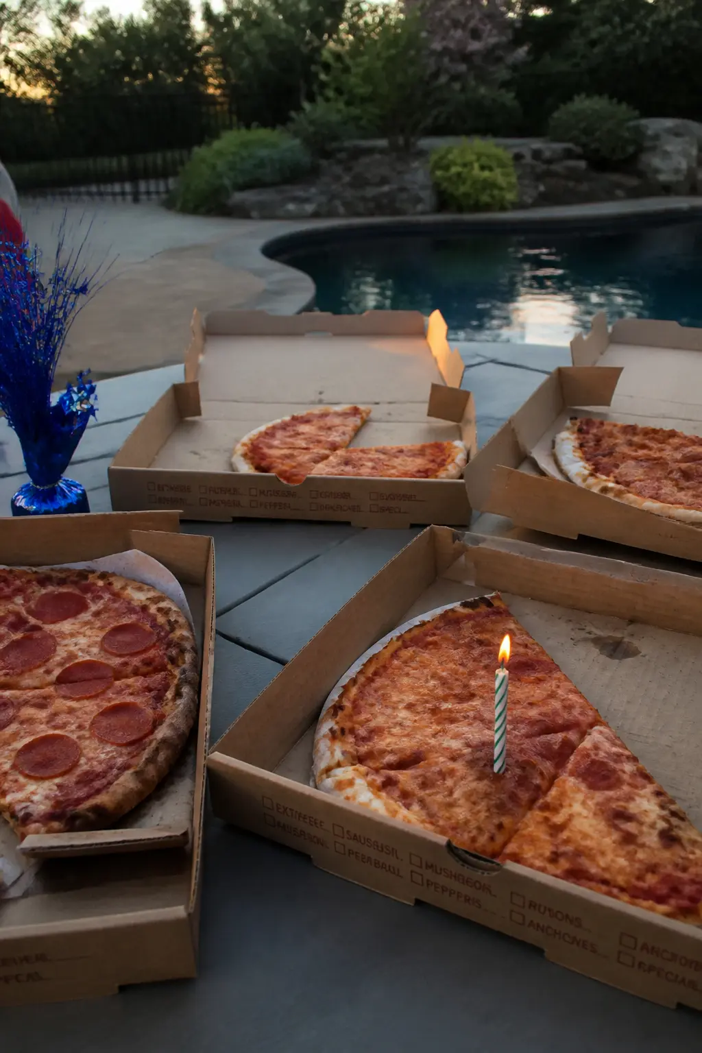Pizza Delivered for the Evening