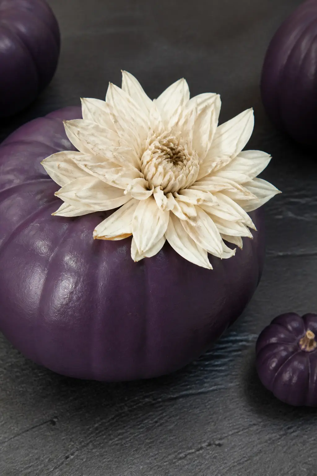 Aubergine With a Single White Bloom Glued On — One large dried or preserved flower, a white peony, garden rose or dahlia, hot-glued at the base of the stem.