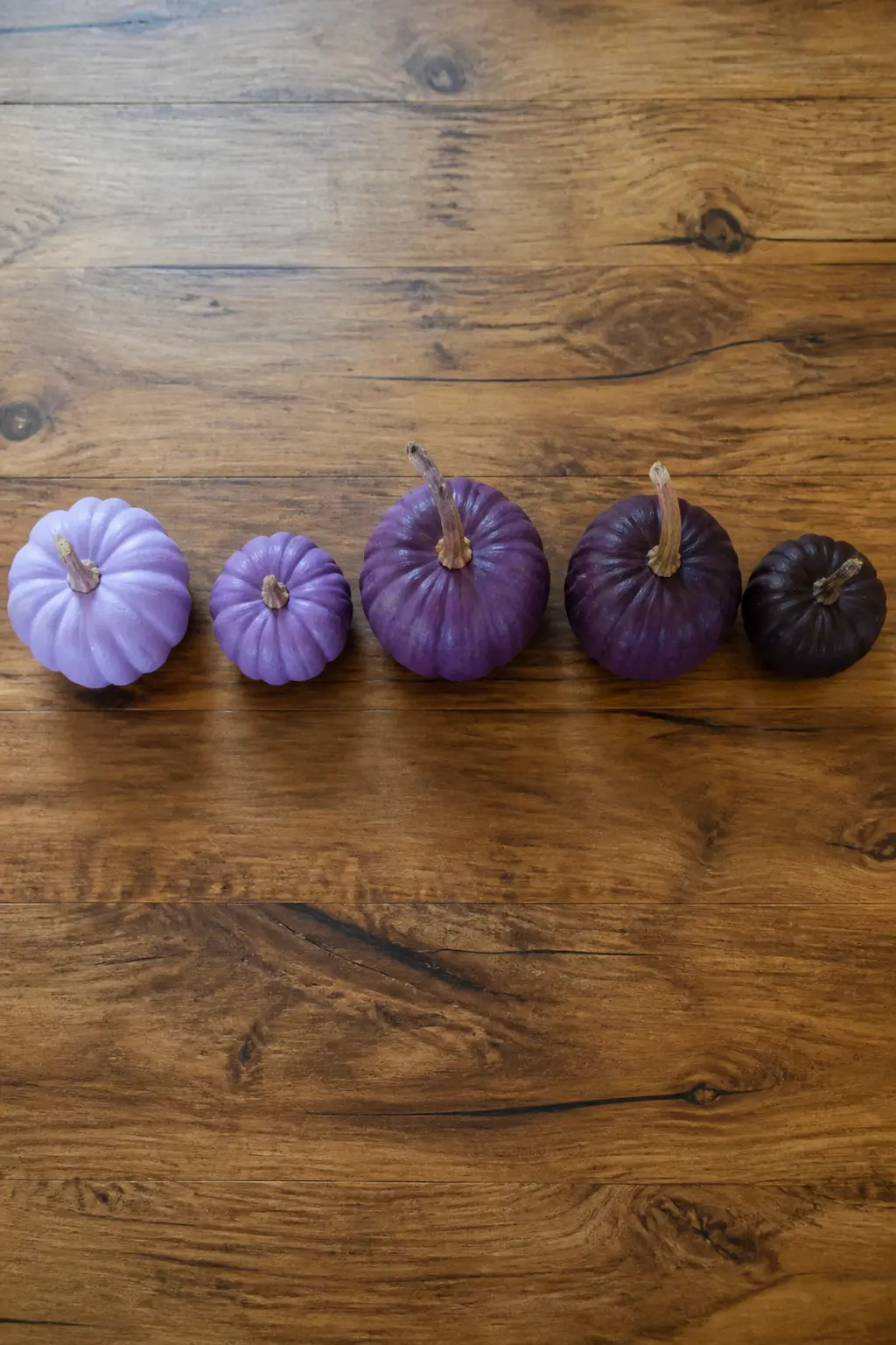 Five Pumpkins Graduating Pale to Dark — Buy five pumpkins in graduating sizes or at least in a spread of sizes that feels unforced. Purple painted pumpkin