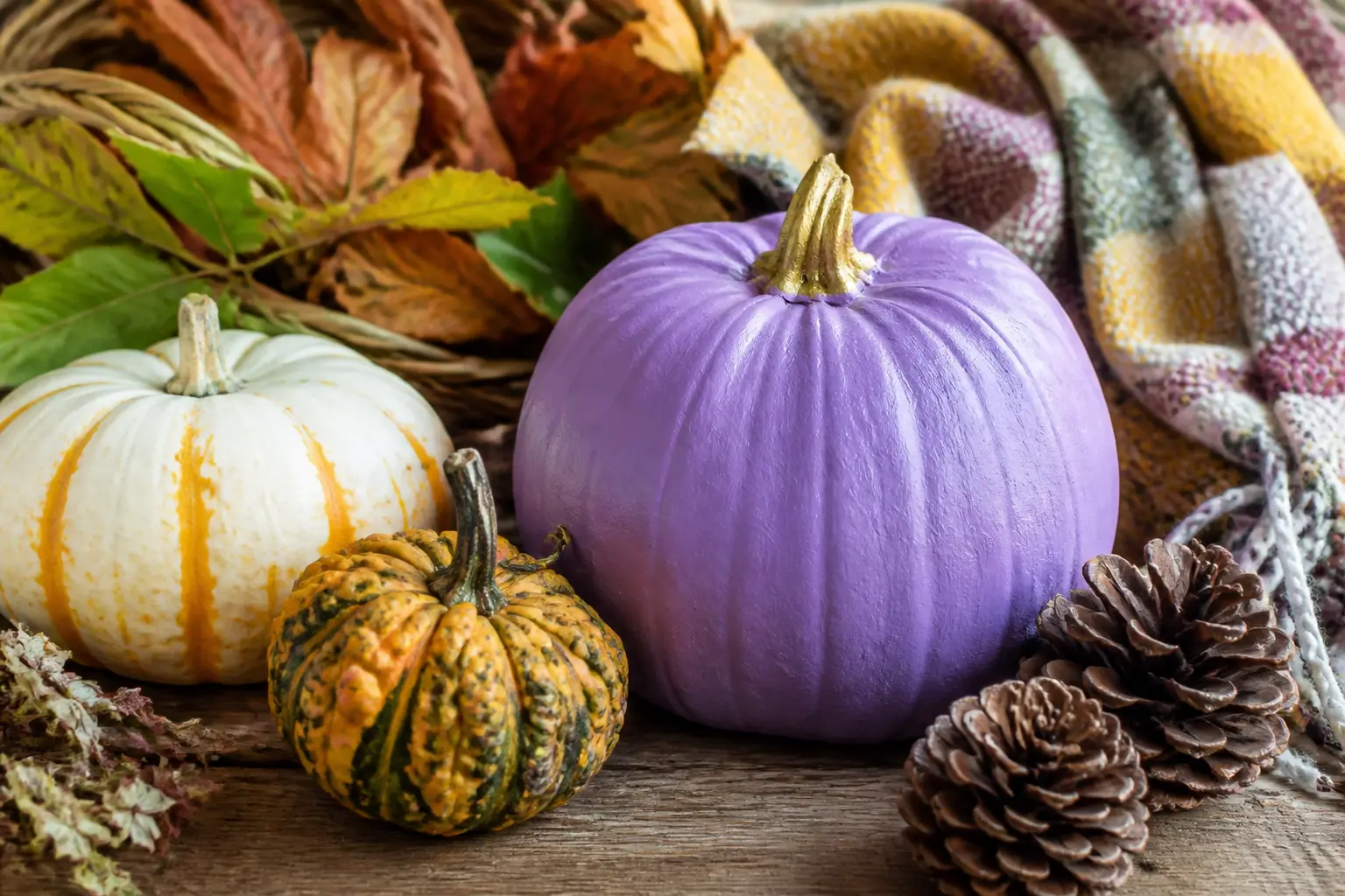 28 Purple Painted Pumpkin Ideas From Lavender to Aubergine