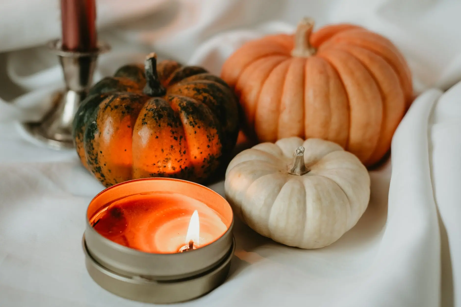 16 Thanksgiving Aesthetics to Pick From Before You Buy Anything