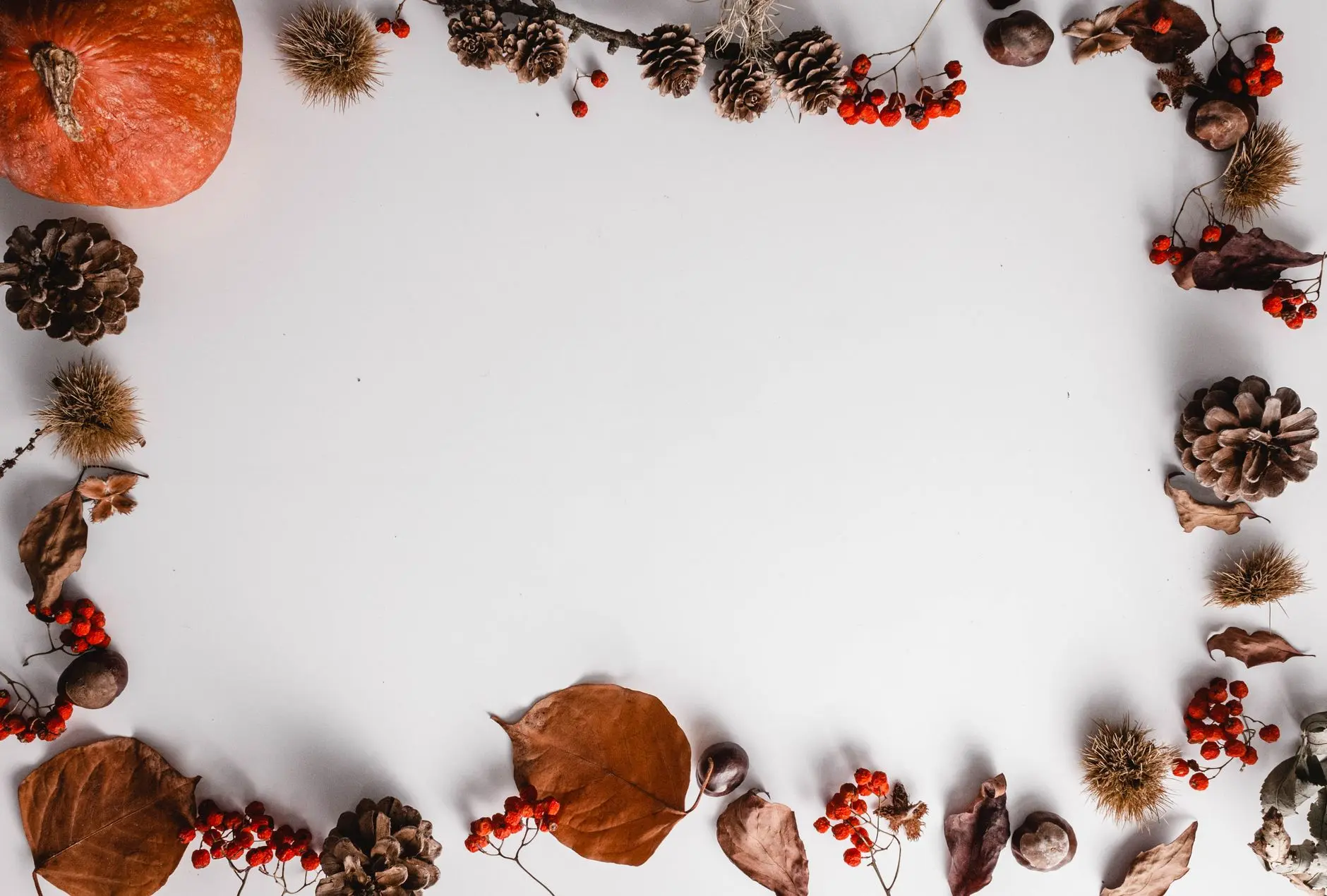 22 Thanksgiving Crafts the Whole Table Can Make Together