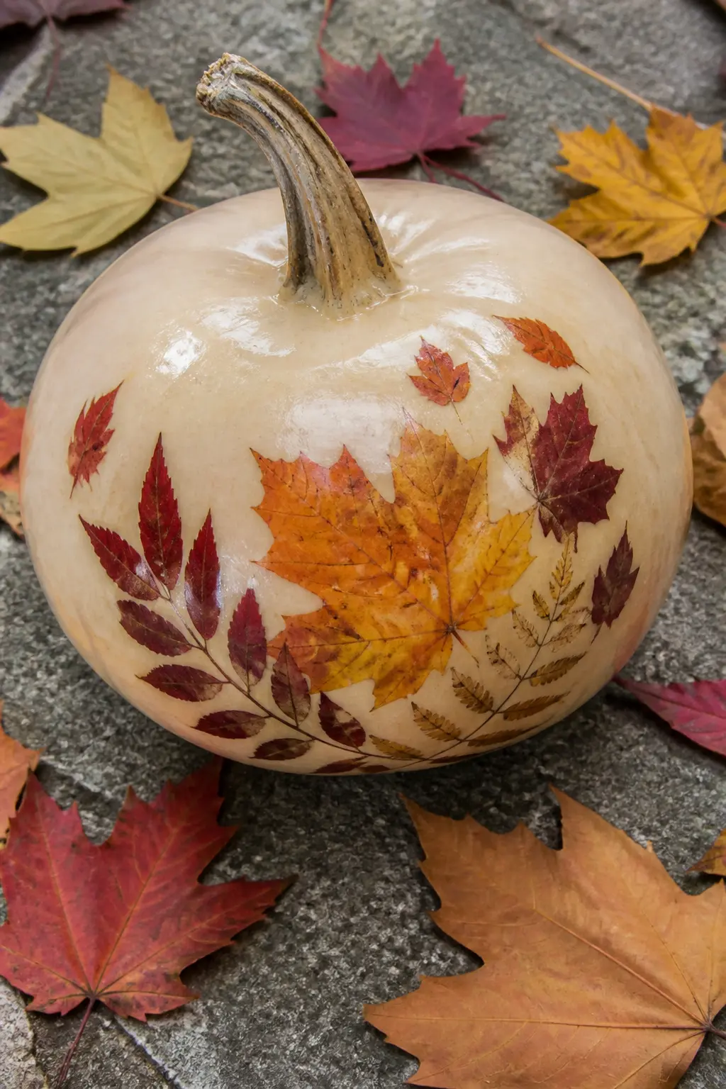 Cream Pumpkin with Pressed Leaves Under Varnish — Real pressed autumn leaves, flat and dry, applied onto a cream painted surface with a coat of Mod Podge and