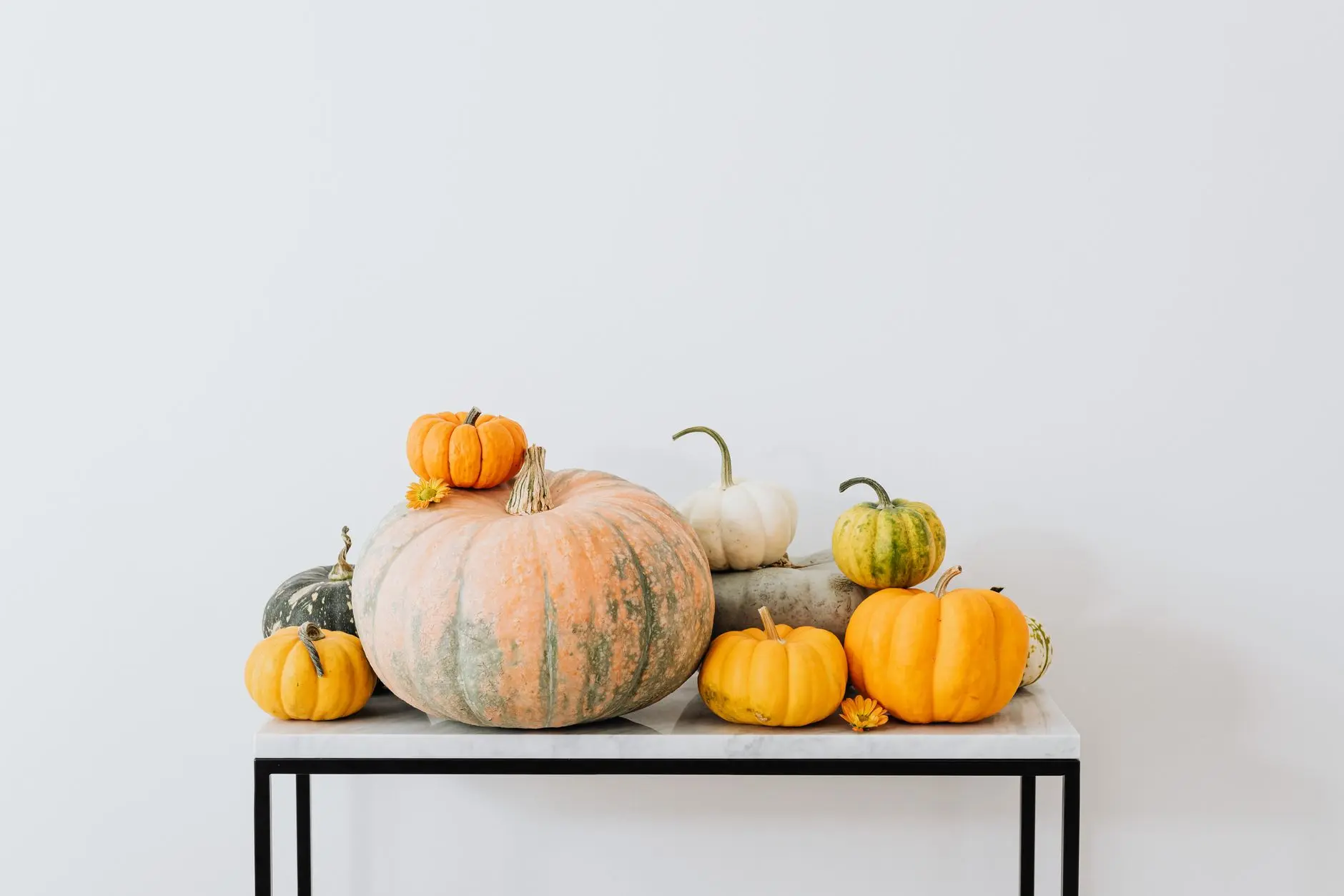 22 Thanksgiving Table Decor Ideas That Skip the Turkey Entirely