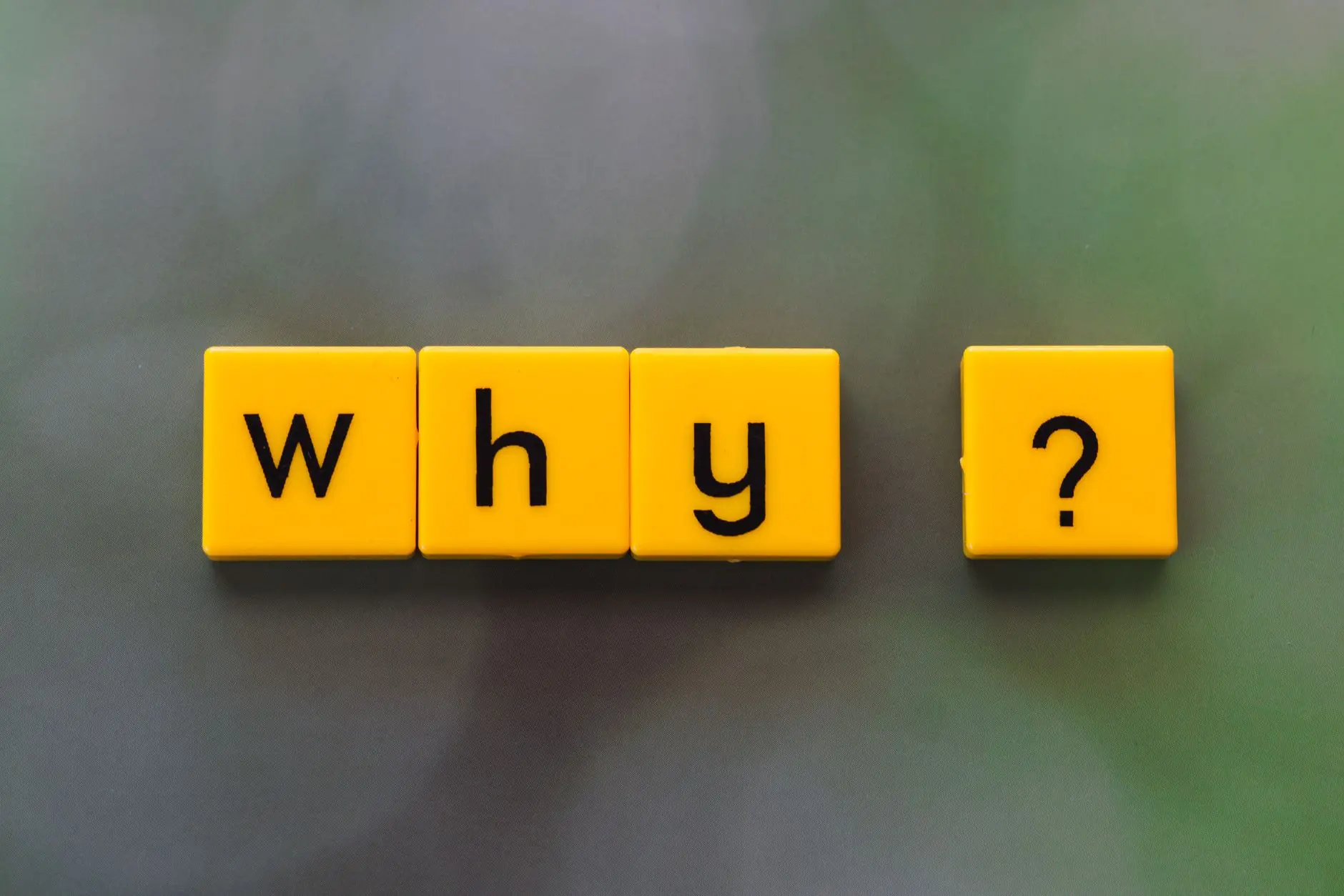 72 This or That Questions for Children Who Answer Instantly