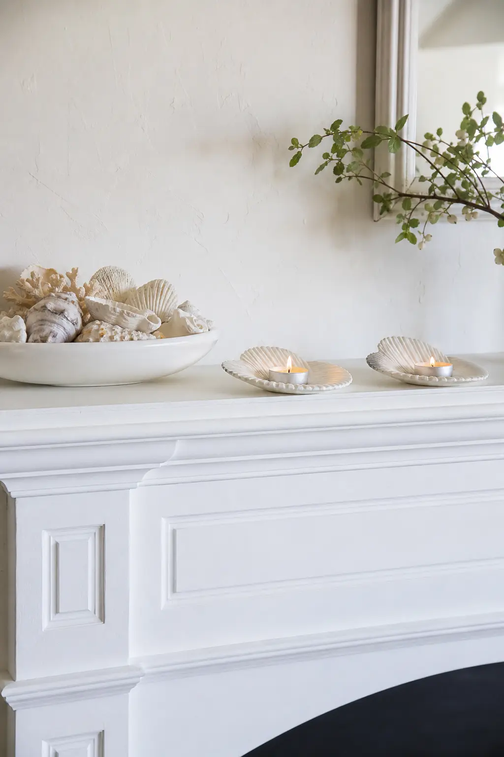 White with Bleached Shell