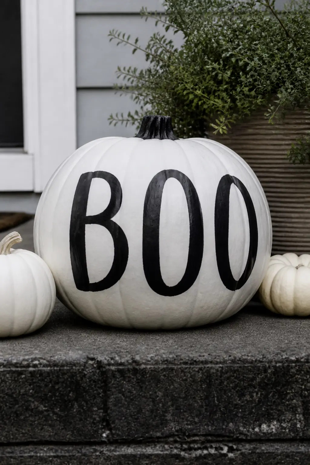 BOO Hand-Lettered in Black — Three large letters, B-O-O, hand-lettered in bold black across the widest part of the pumpkin. White painted pumpkin