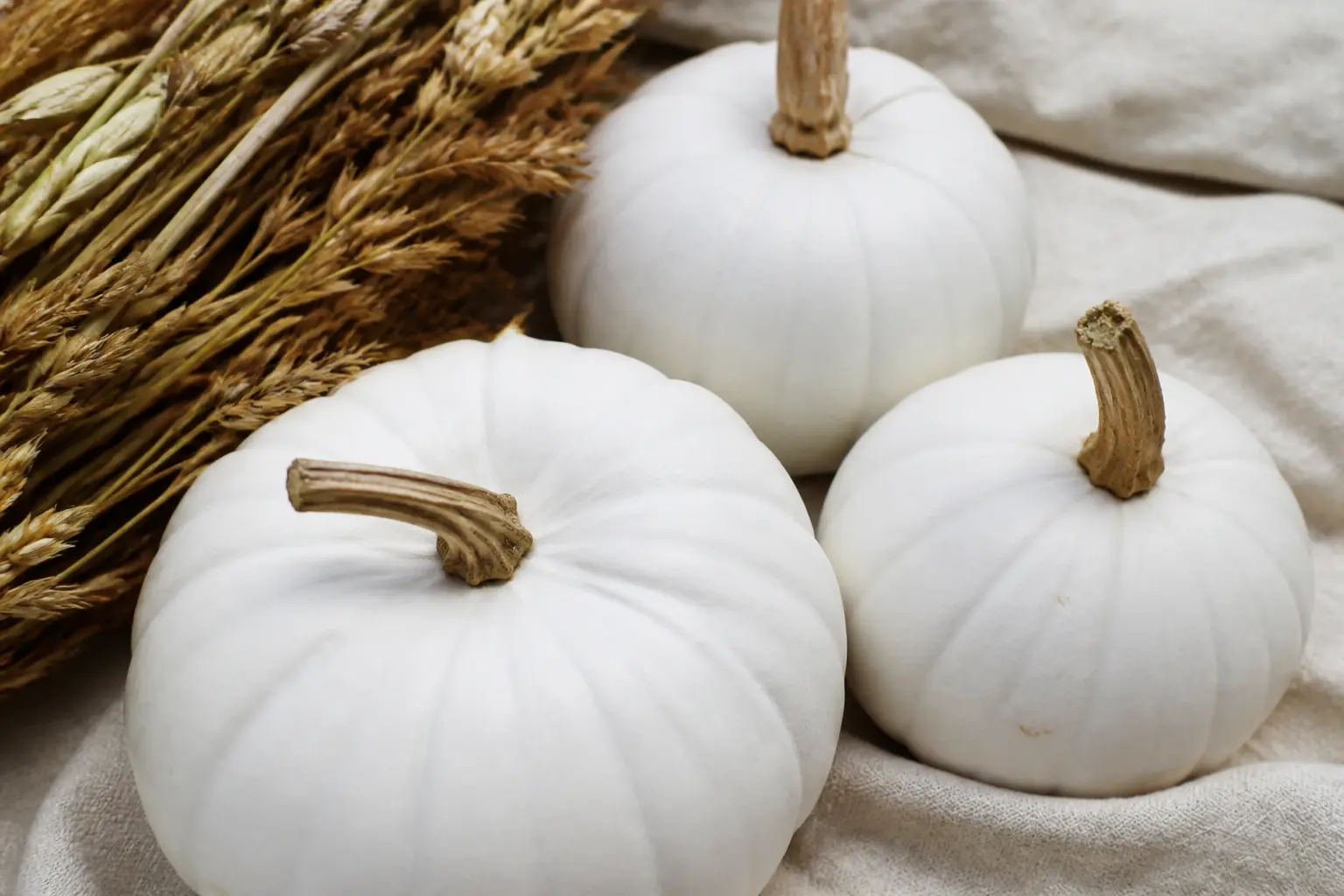 29 White Painted Pumpkin Ideas That Are Anything but Plain