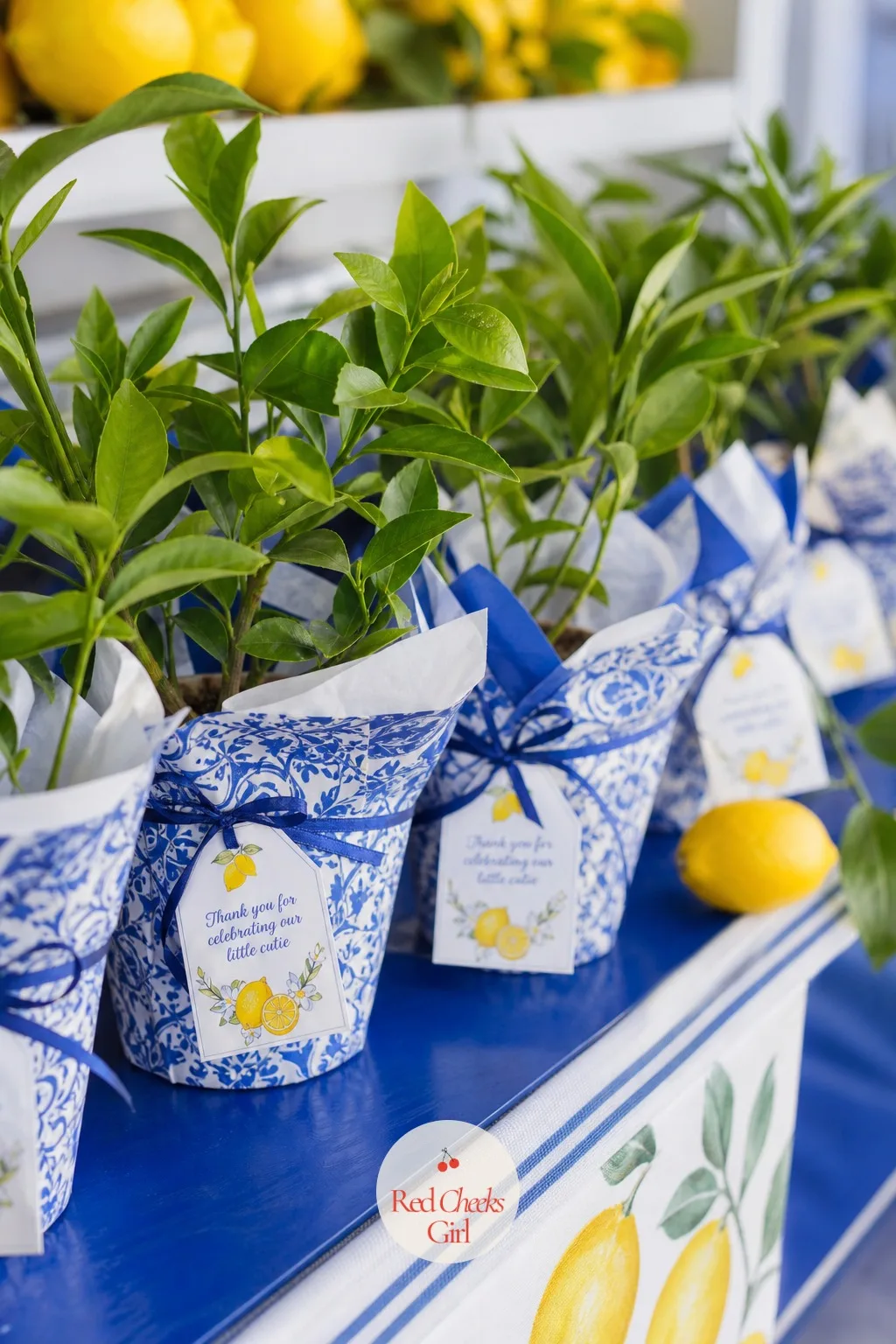 Potted Baby Lemon Tree Favor — A tiny lemon seedling in a terracotta pot, the kind guests can genuinely grow on a windowsill, sits wrapped in blue and white